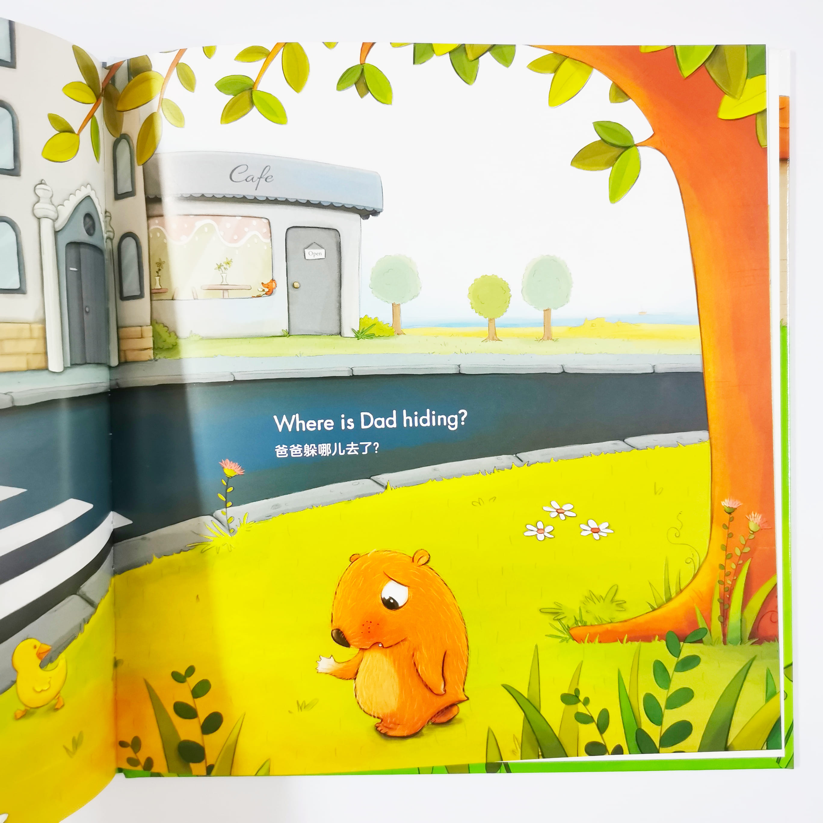 Where's Dad Hiding? 爸爸躲哪儿去了?