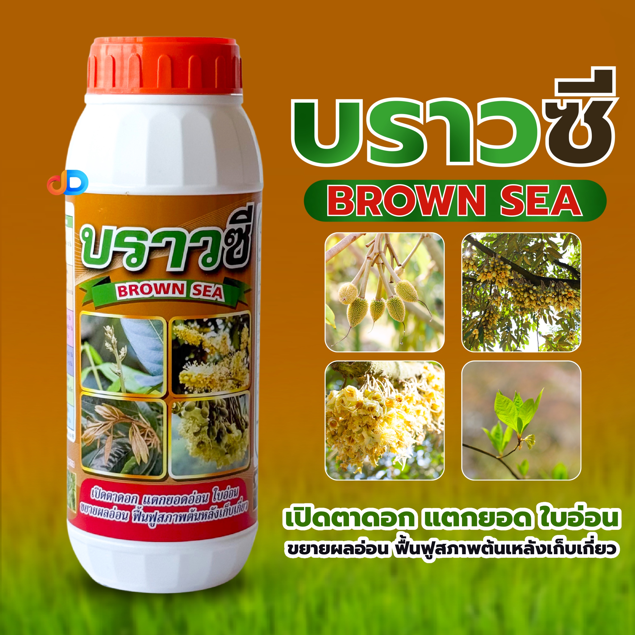 บราวซี (BROWN SEA) สาหร่ายทะเลสีน้ำตาล 20%w/w -ขนาด 1 ลิตร #เปิดตาดอก แตกยอดใบอ่อน