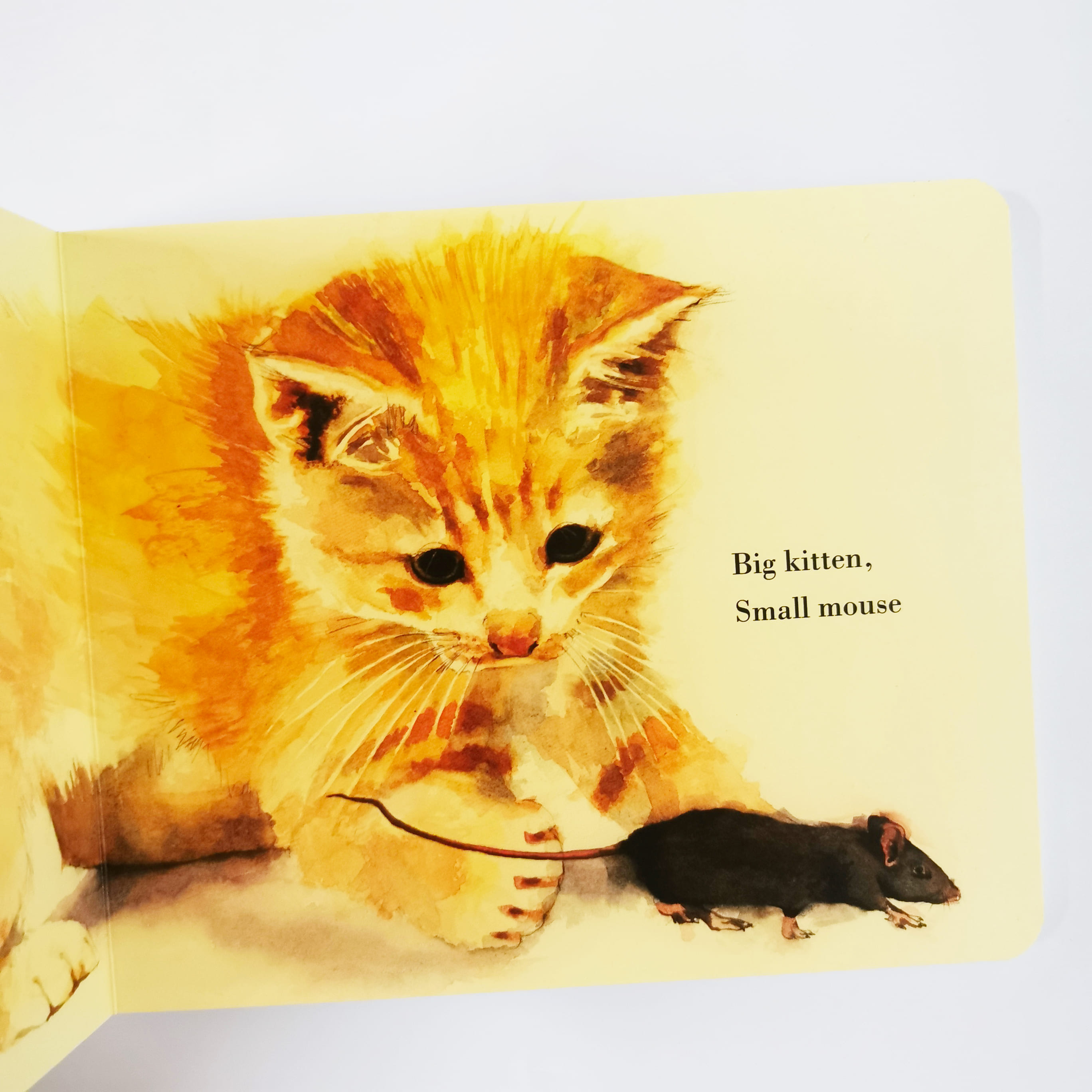 Big and Small, Room for All