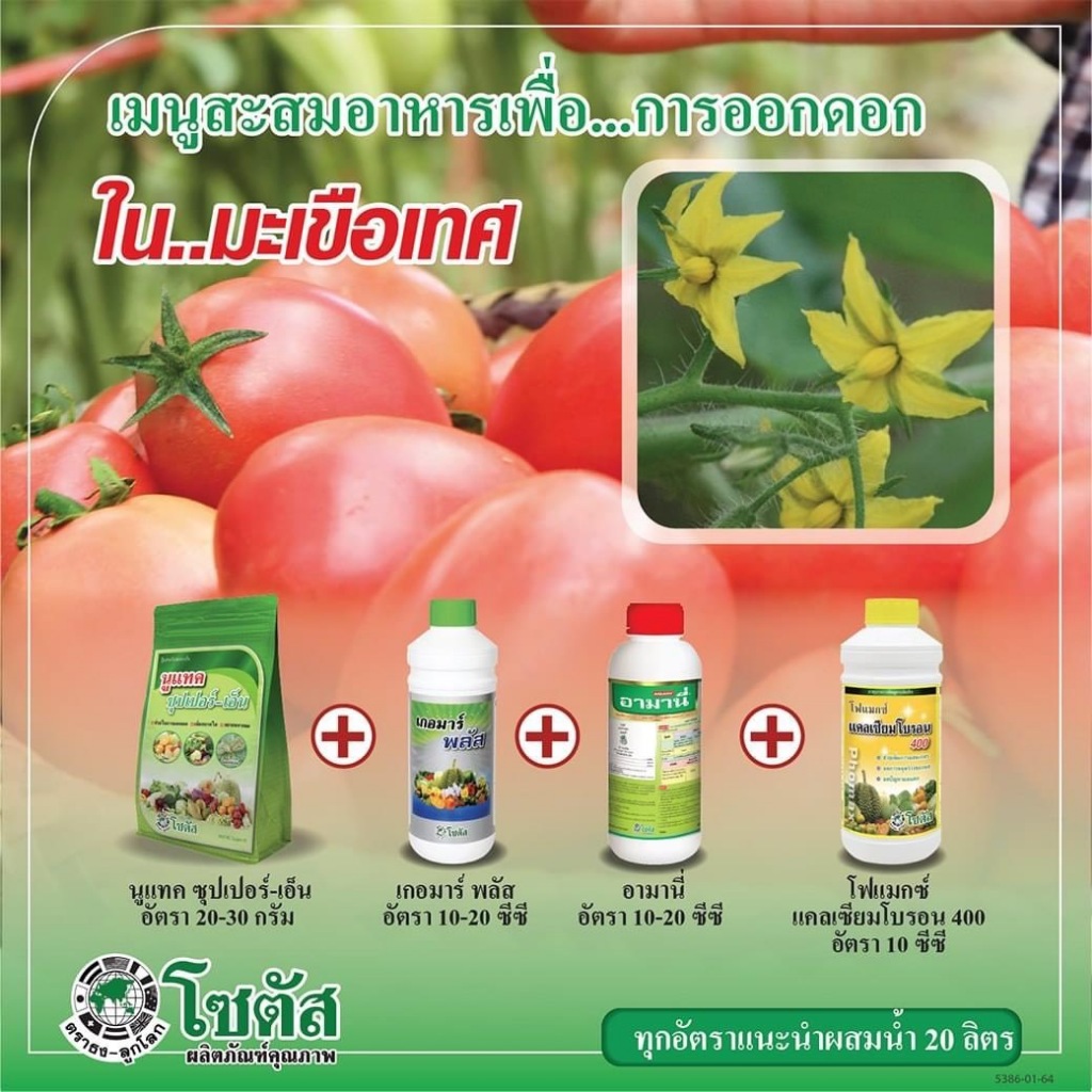 ชุดสะสมอาหารเพื่อการออกดอกในมะเขือเทศ นูแทค ซุปเปอร์-เอ็น+เกอมาร์พลัส+อามานี่ +โฟแมกซ์ แคลเซียมโบรอน 400