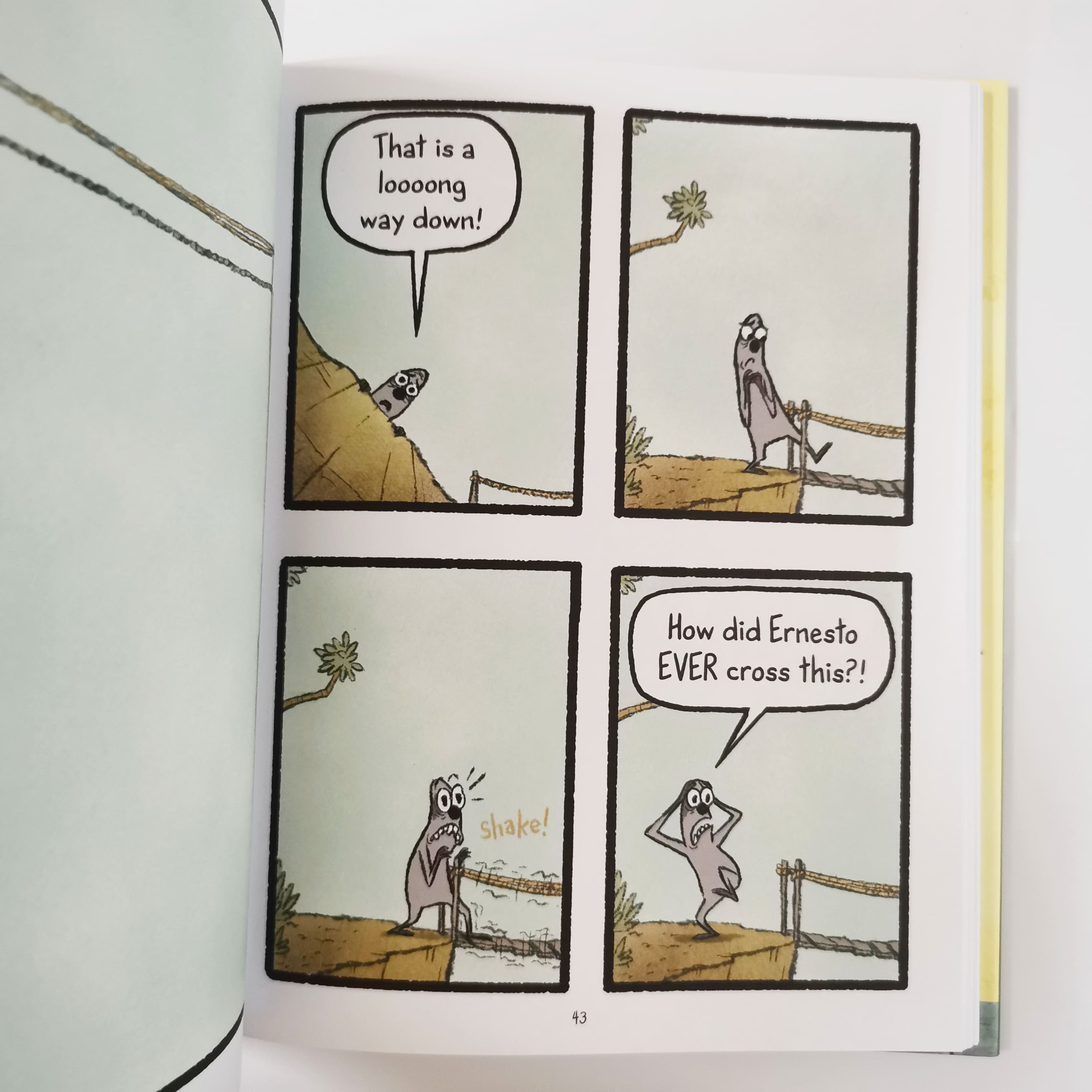 Peter & Ernesto : A Tale Of Two Sloths