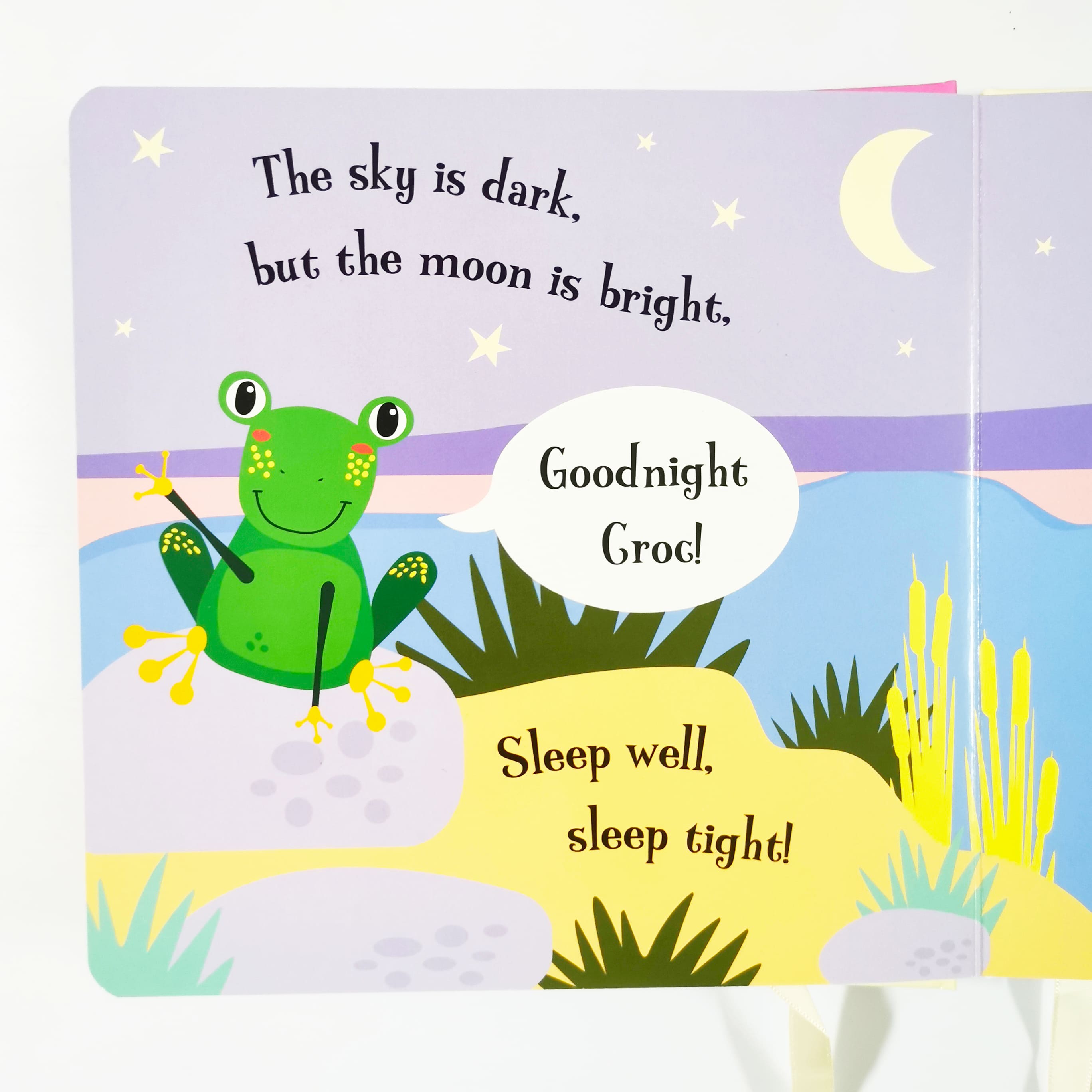 Goodnight Frog (Magic Torch Books)