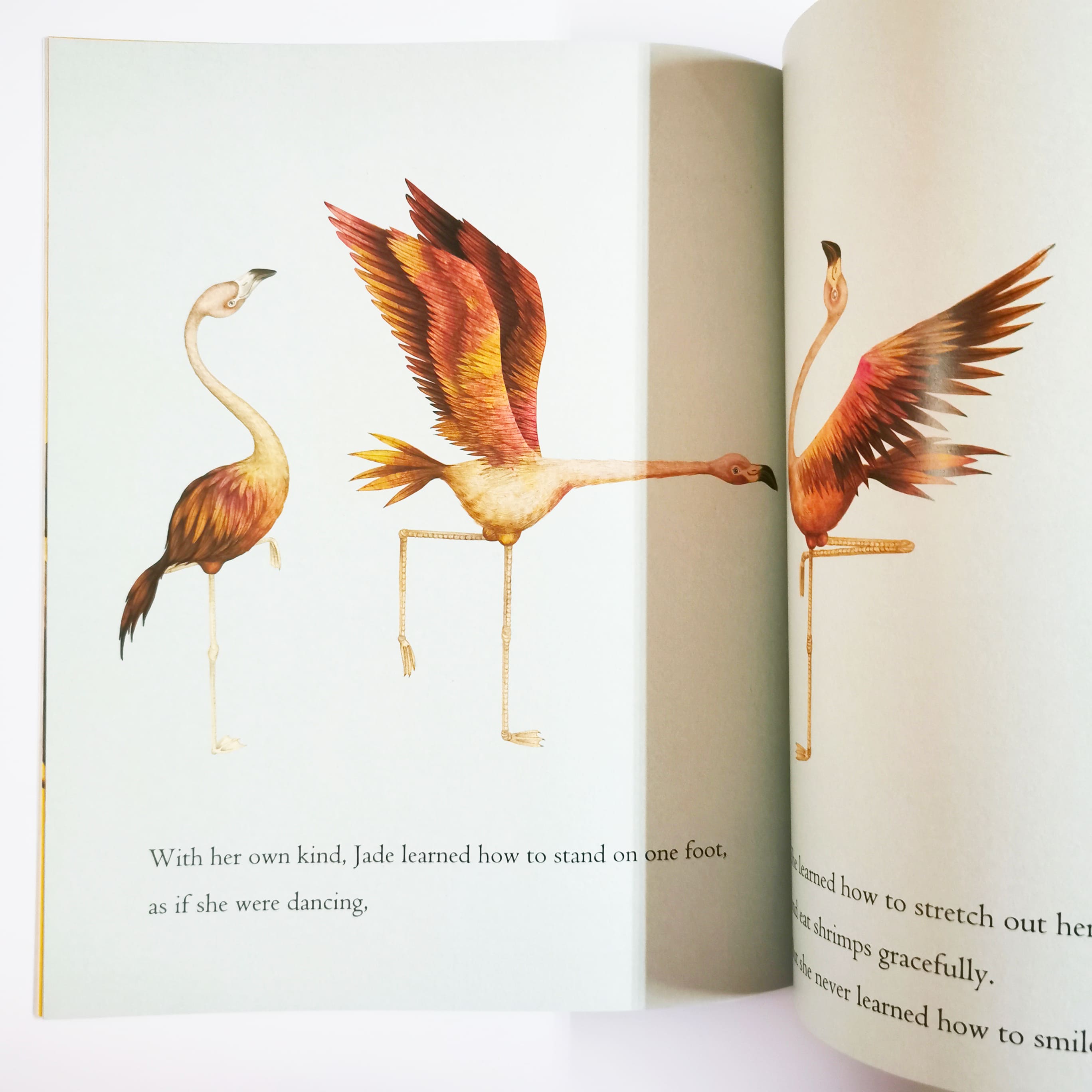 Otto And Jade On The Wings Of Friendship