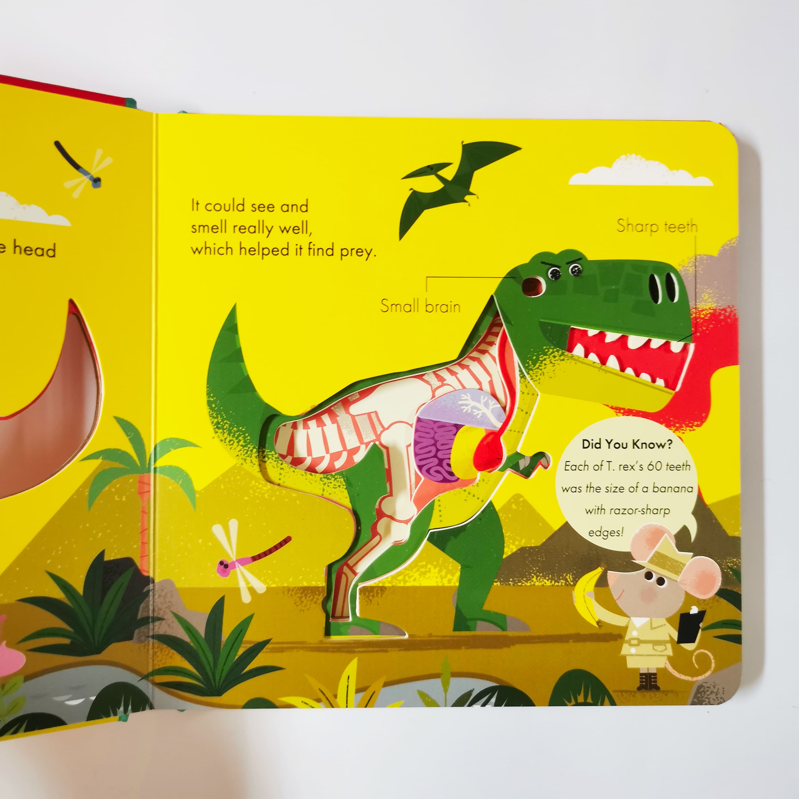 How It Works : Dinosaur