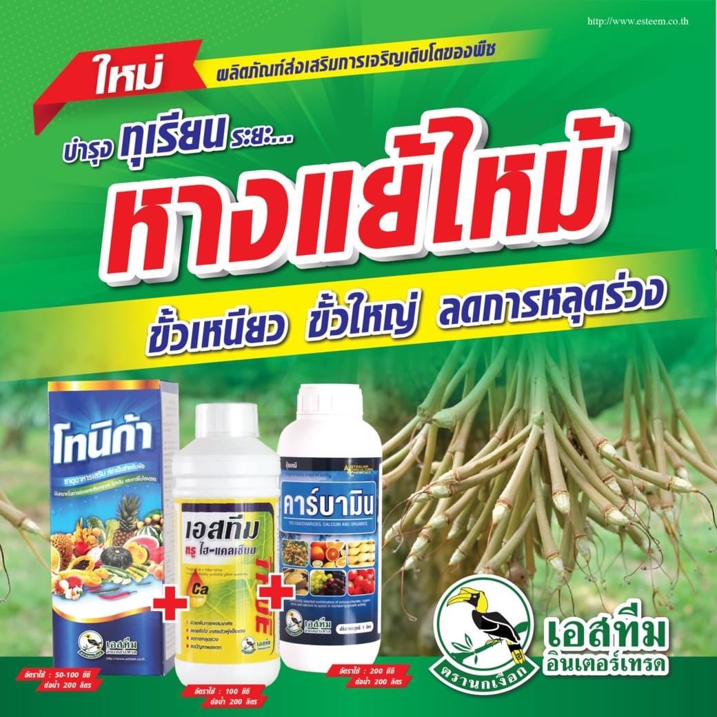 โทนิก้า สารประกอบไนโตรฟีนอล ขนาด 1 ลิตร + เอสทีม ทรู ไฮ-แคลเซียม ขนาด 1 ลิตร + คาร์บามิน ธาตุอาหารรองเสริม ขนาด 1 ลิตร