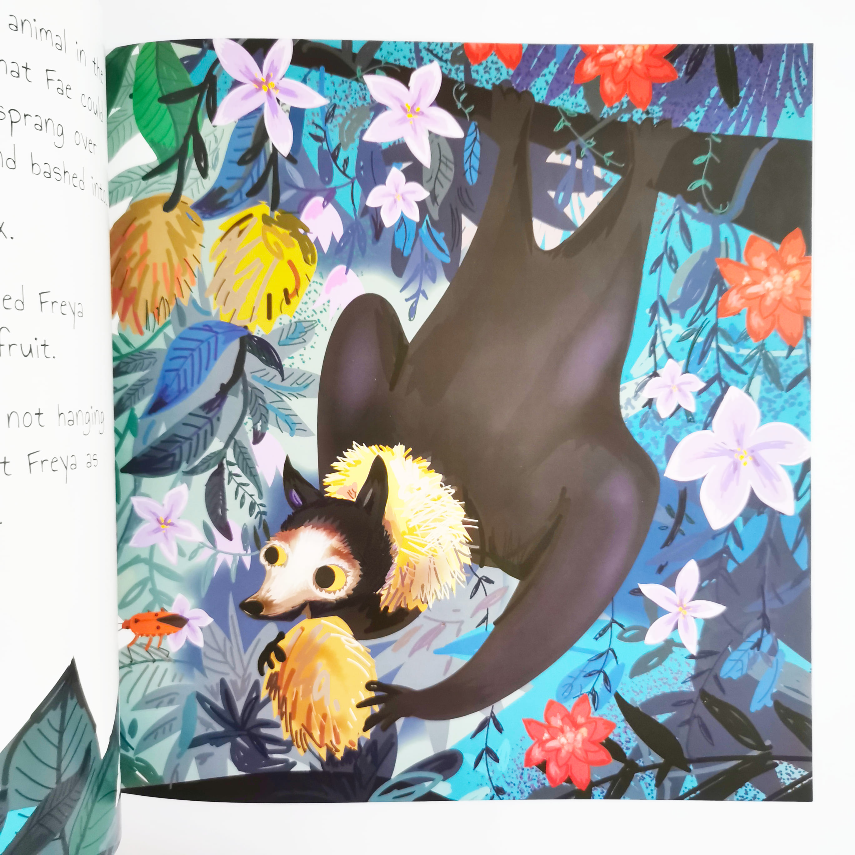 The Timid Frog (Rainforest Tales)