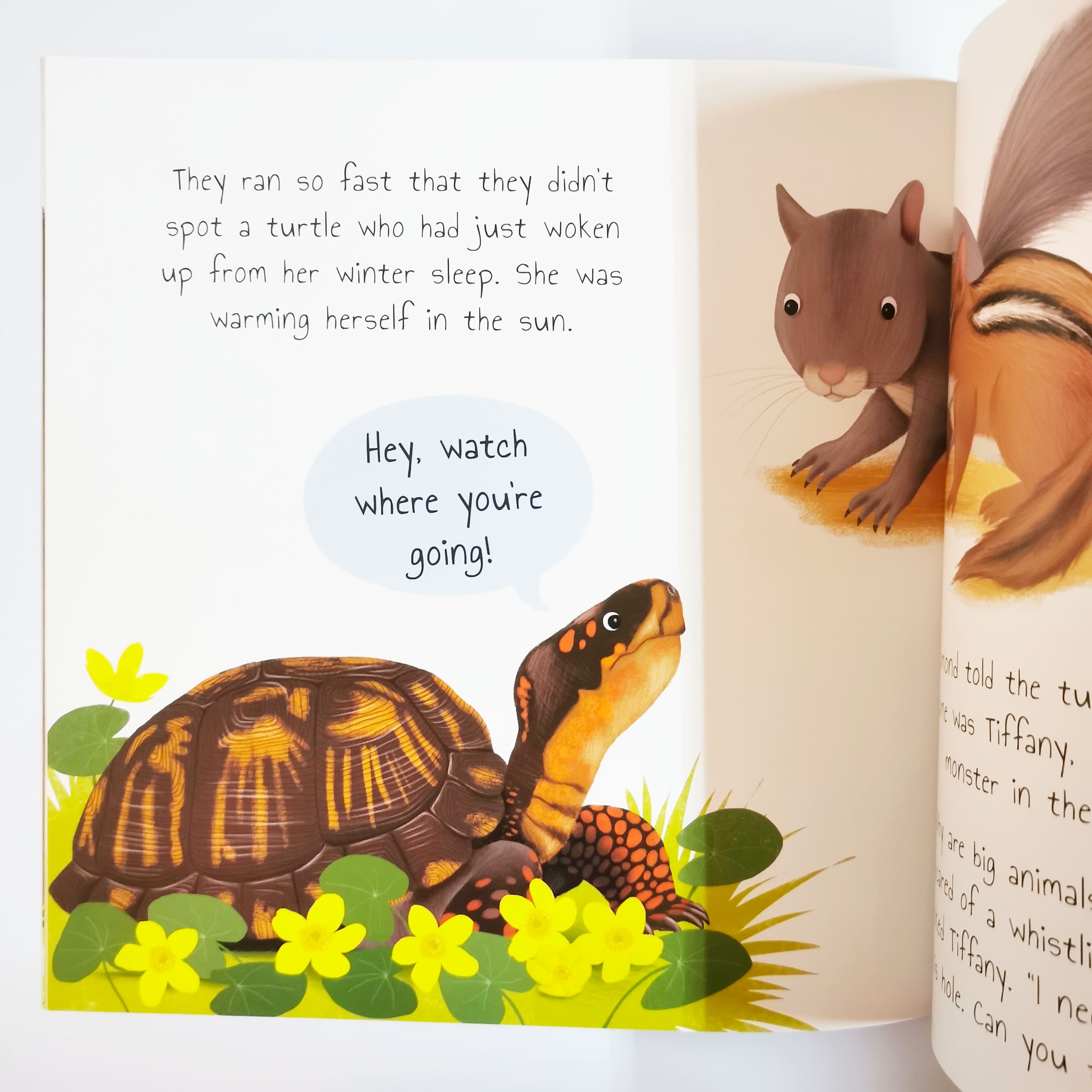 Diamond The Deer (Woodland Tales)