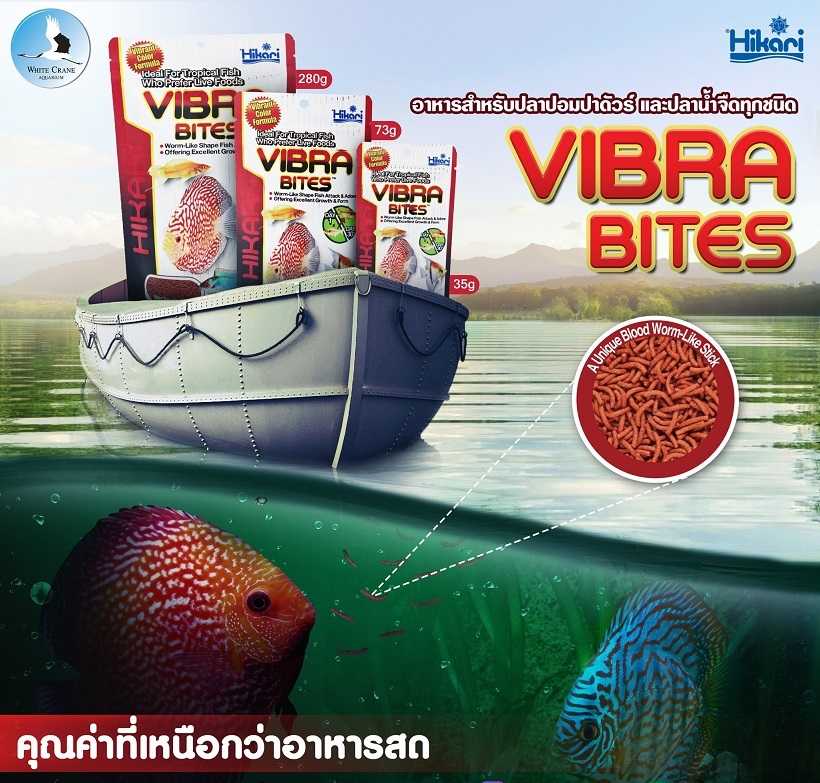 Hikari Vibra Bites (อาหารปลาชนิดจมน้ำ ออกแบบให้เม็ดอาหารมีลักษณะเหมือนสิ่งมีชีวิต)