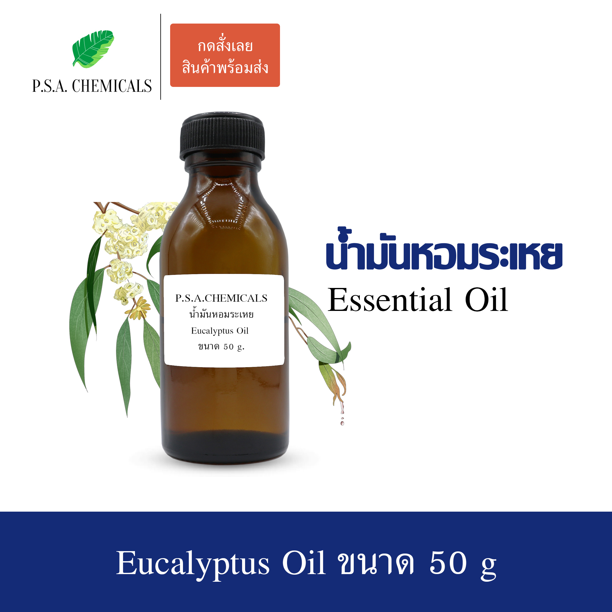 น้ำมันหอมระเหยยูคาลิปตัส (Eucalyptus Essential Oil) ขนาด 50 g ใช้กับเครื่องพ่นอโรม่า เตาอโรม่า