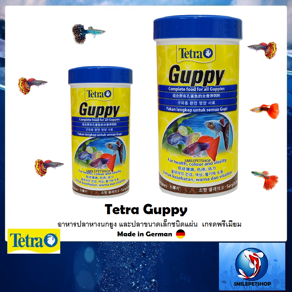 Tetra Guppy (อาหารปลาหางนกยูงและปลาขนาดเล็ก แบบแผ่น เกรดพรีเมี่ยม จากประเทศเยอรมัน)