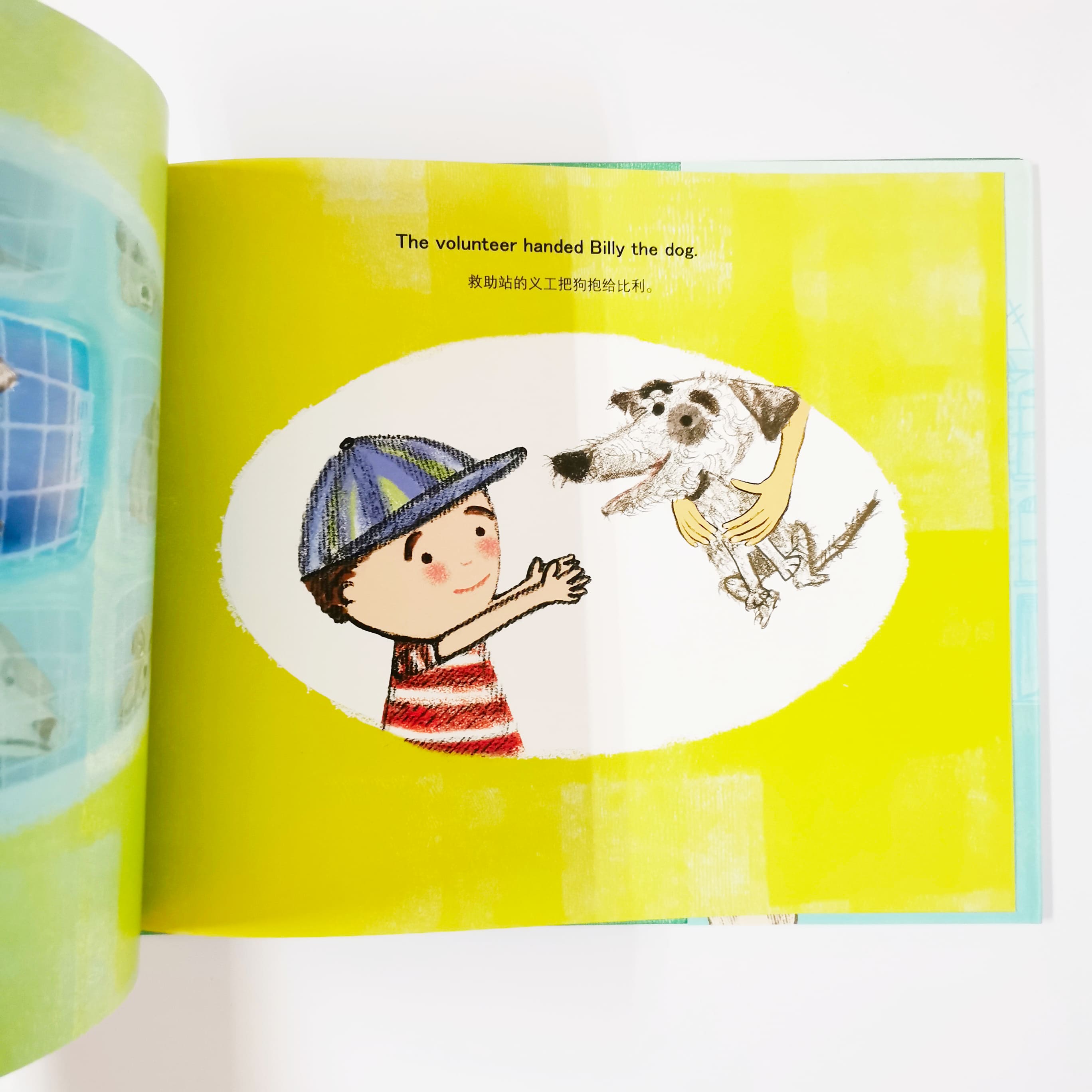 The Grumpy Pets 臭脸宠物