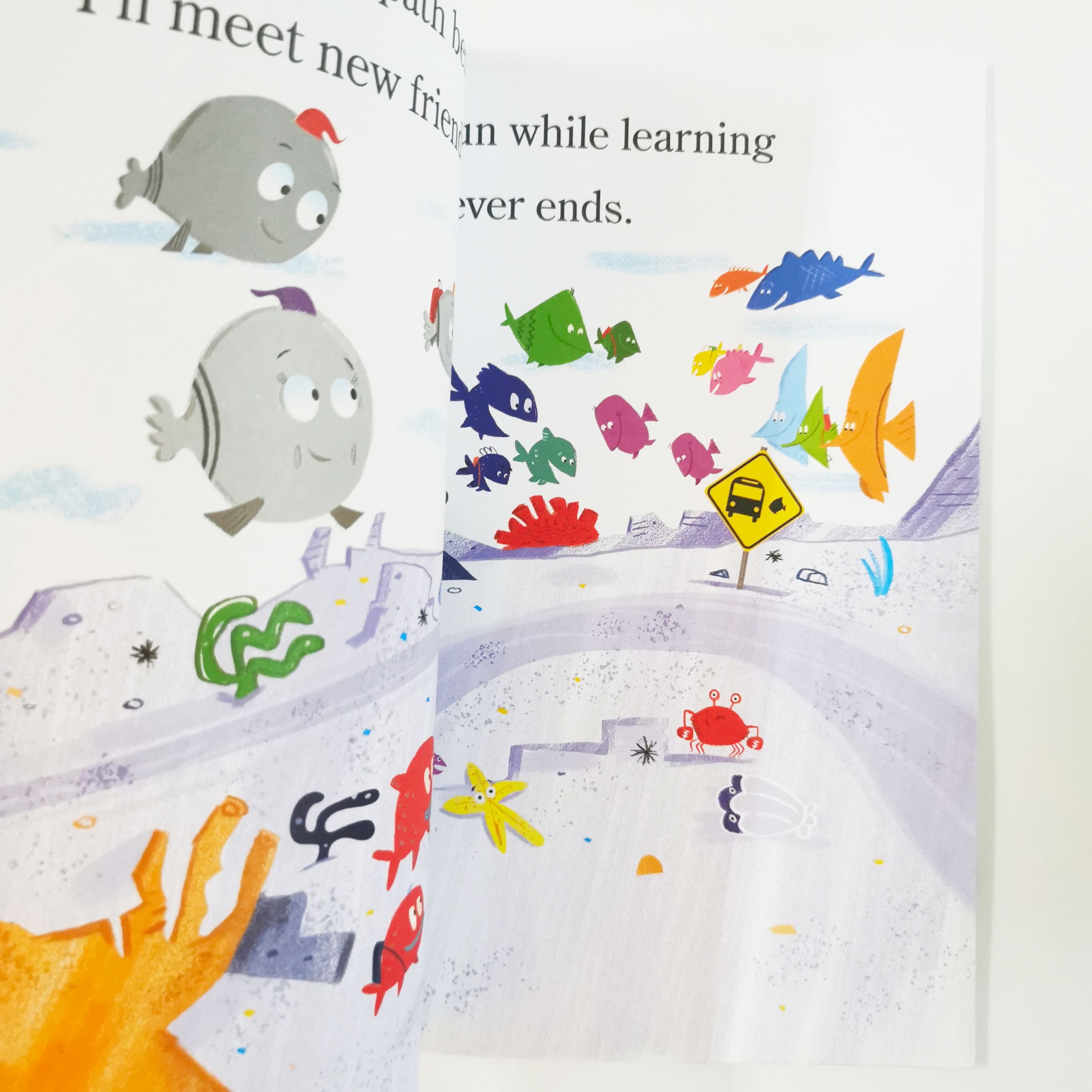 School of Fish (School of Fish)