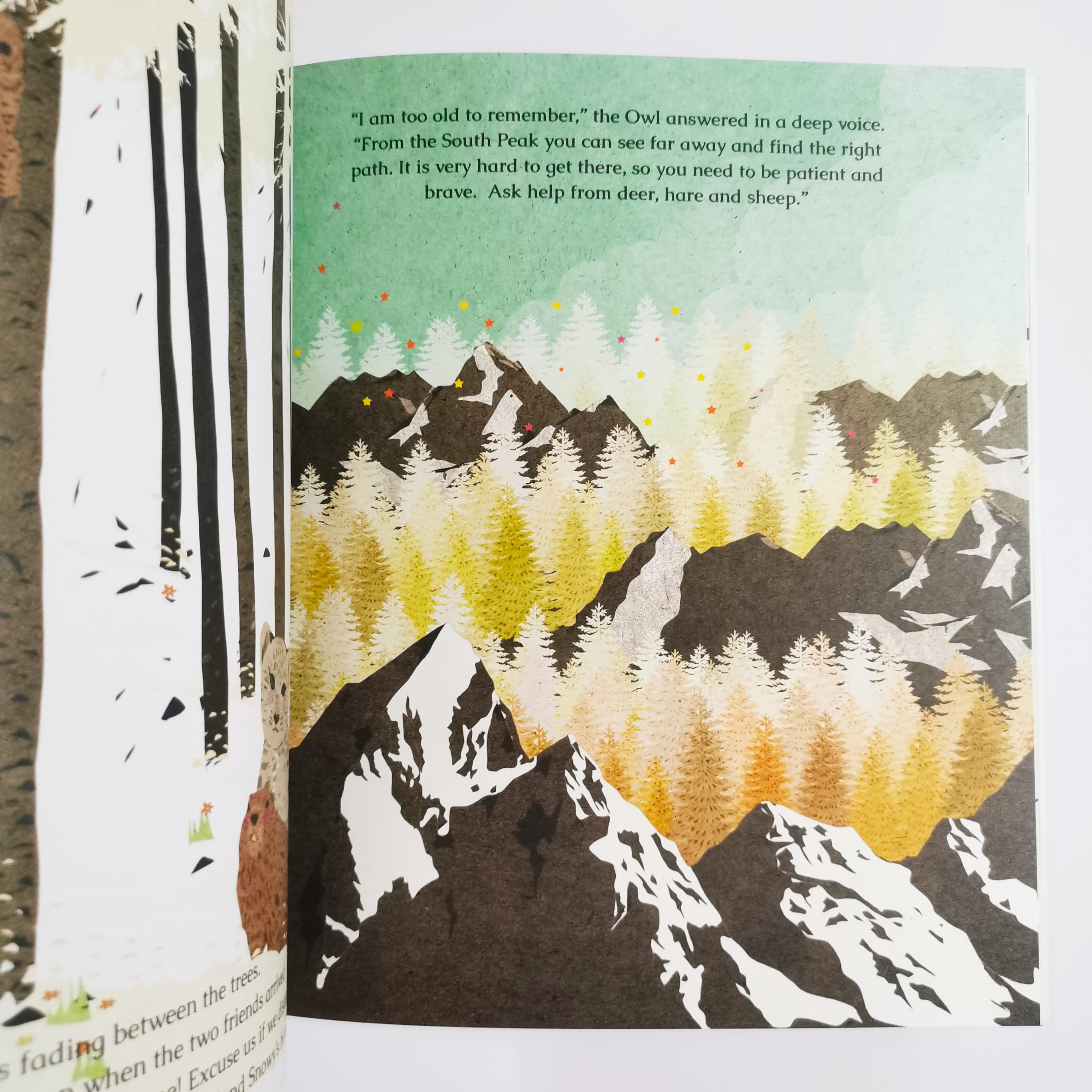 Snowy : A Leopard of the High Mountains