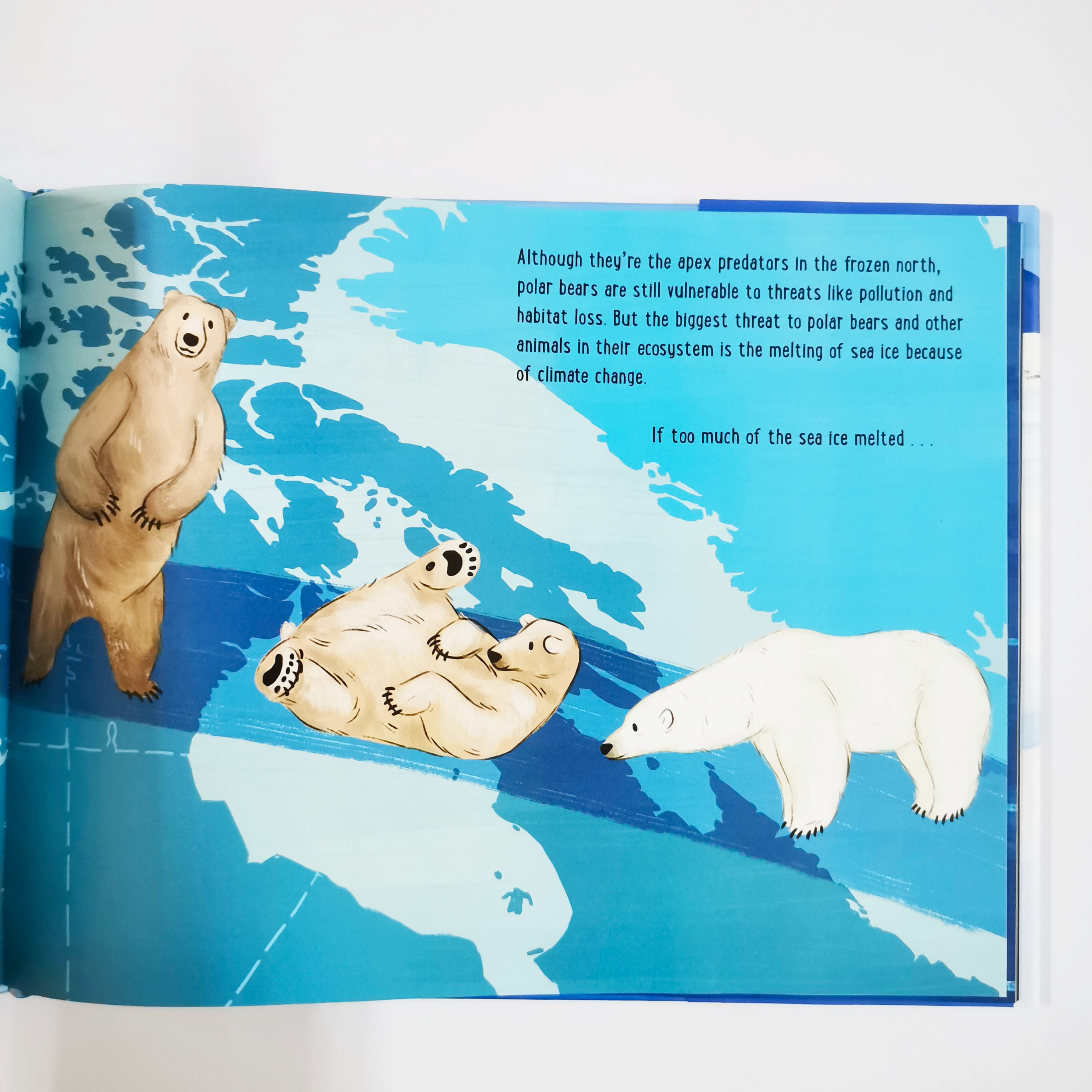 If Polar Bears Disappeared (If Animals Disappeared)