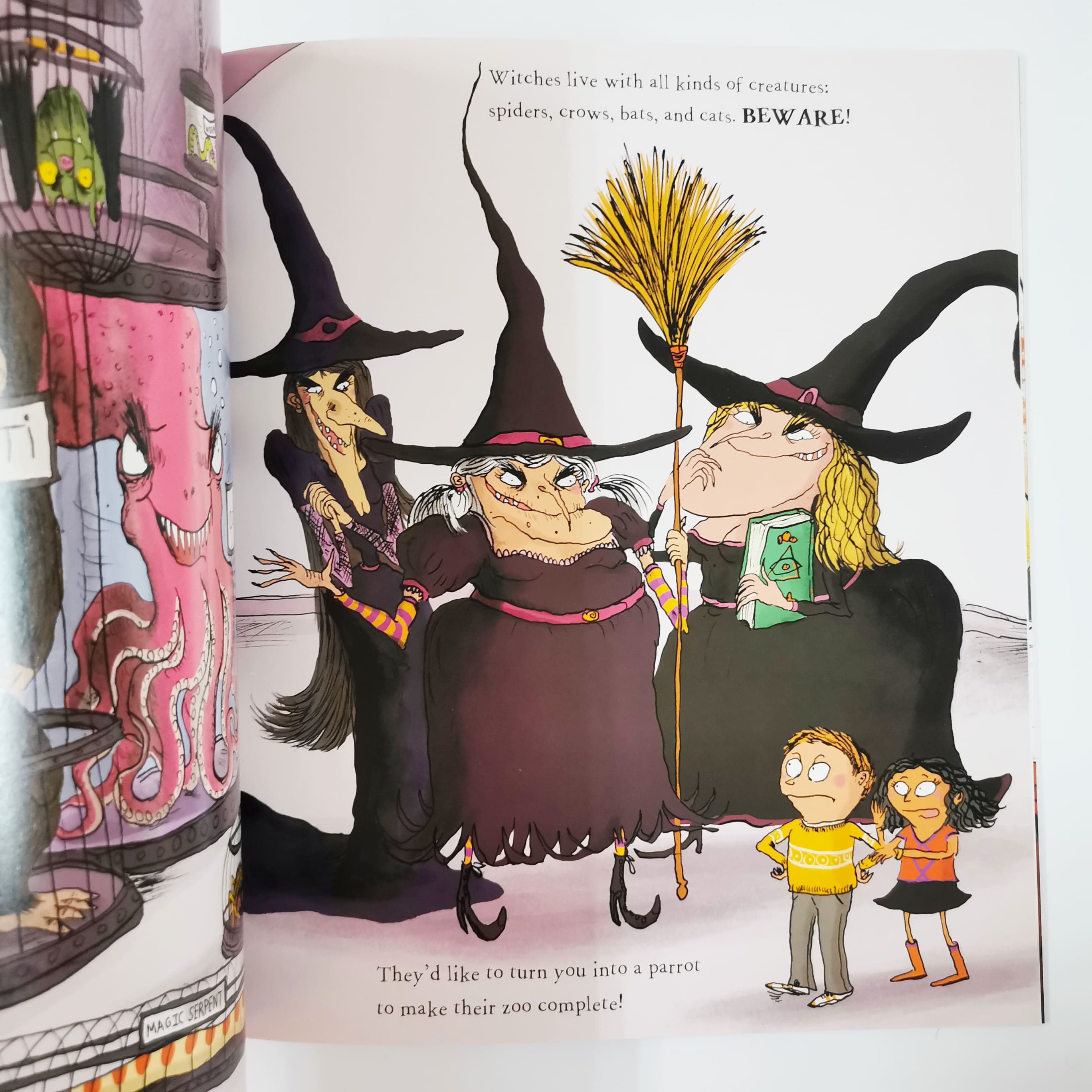 How to Outwit Witches