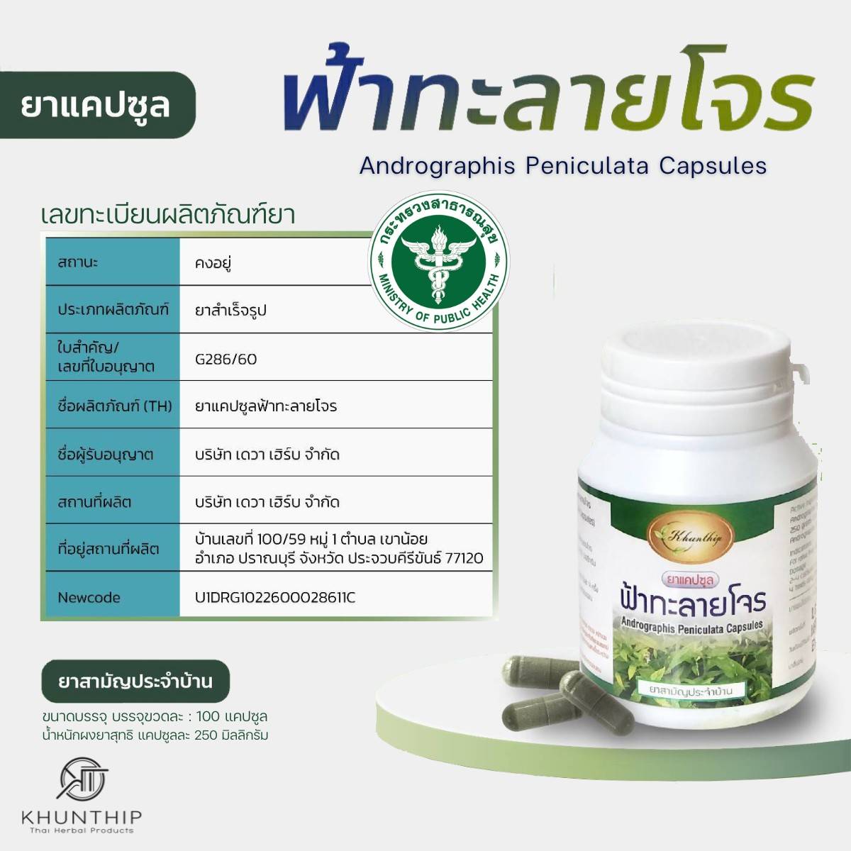 คุณทิพย์ ฟ้าทะลายโจรแบบแคปซูล 100 เม็ด 250 มก. (เทียบเท่าแอนโดรกราโฟไลด์ ≥ 6 มก.) กินแค่มื้อละ 5 แคปซูล