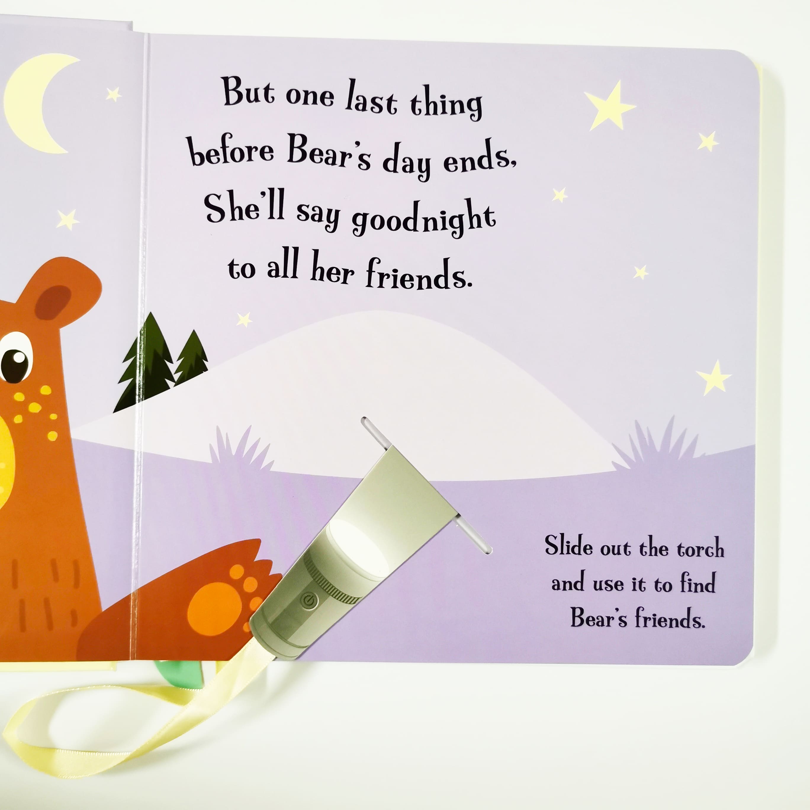 Goodnight Bear (Magic Torch Books)