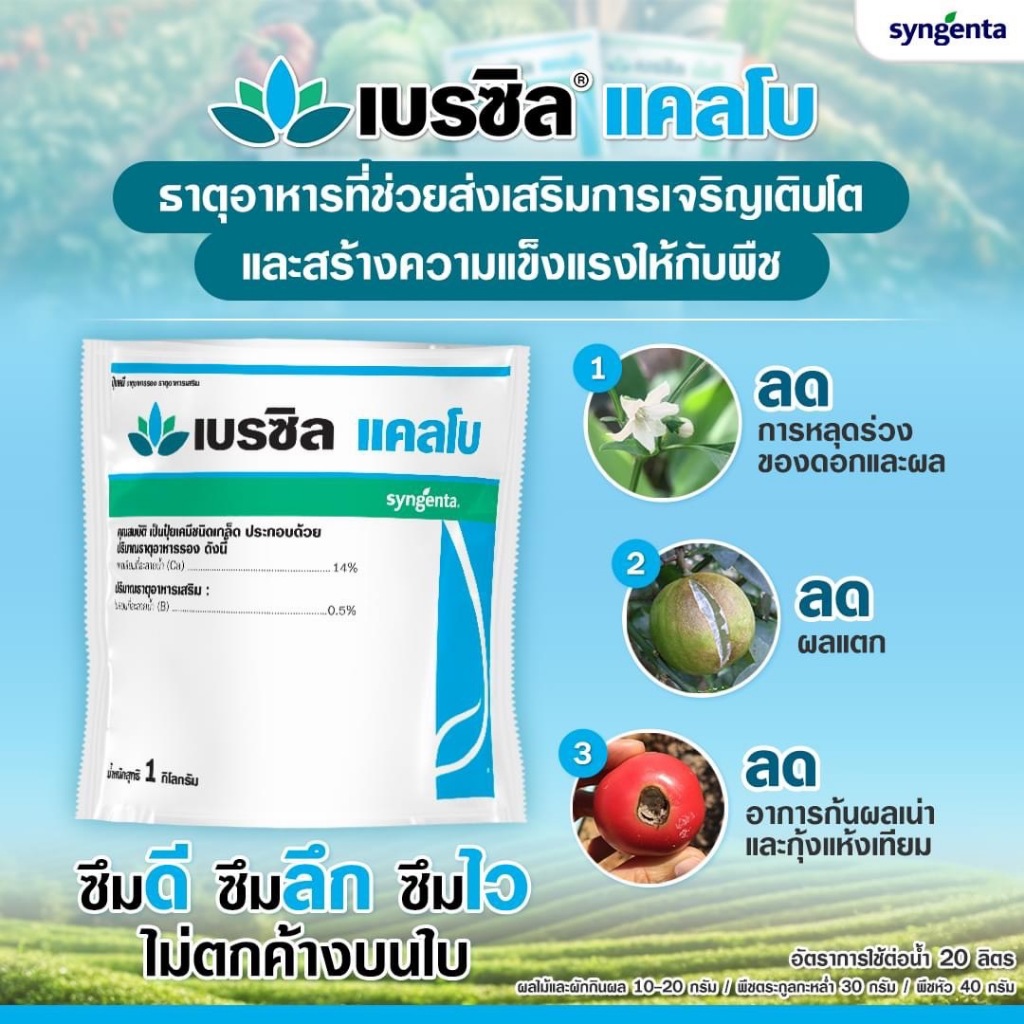 เบรซิล แคลโบ : 1 กก. ลดผลแตก ลดการหลุดร่วงของดอกและผล ช่วยเพิ่มการติดผล