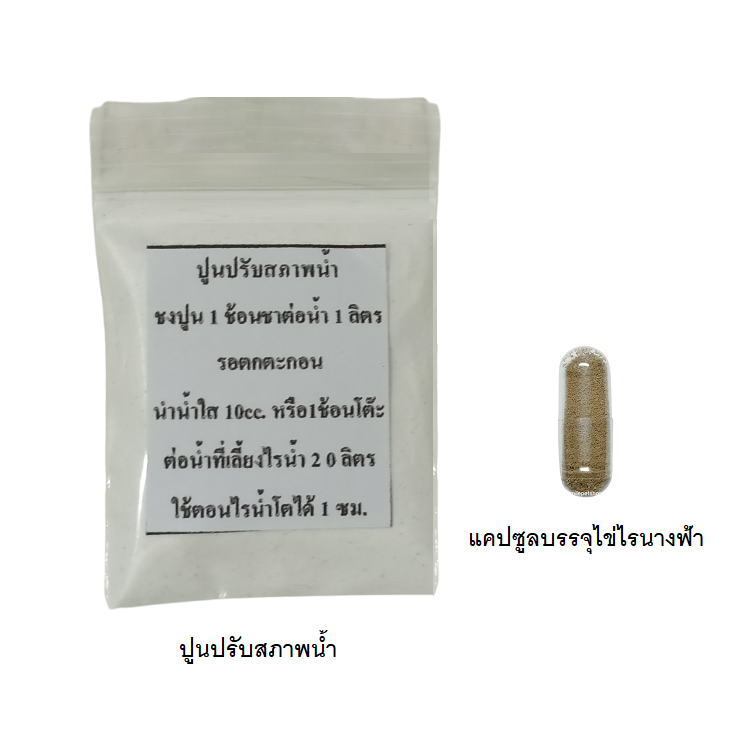 ไข่ไรน้ำนางฟ้าไทยบรรจุแคปซูล (Fairy Shrimp Cysts ฟักง่าย โปรตีนสูง ทำให้ปลาโตไว สีสันสวยงาม)