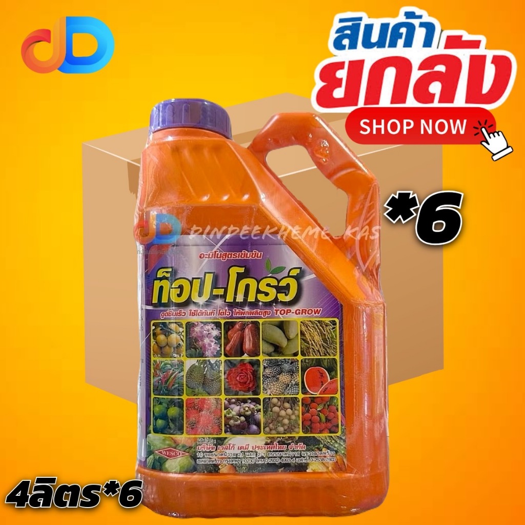 (ยกลัง 6 แกลลอน) ท็อป-โกรว์ (Top-Grow) ขนาด 4 ลิตร อะมิโนสูตรเข้มข้น ดูดซึมเร็ว ใช้ได้ทันที โตไว ให้ผลผลิตสูง