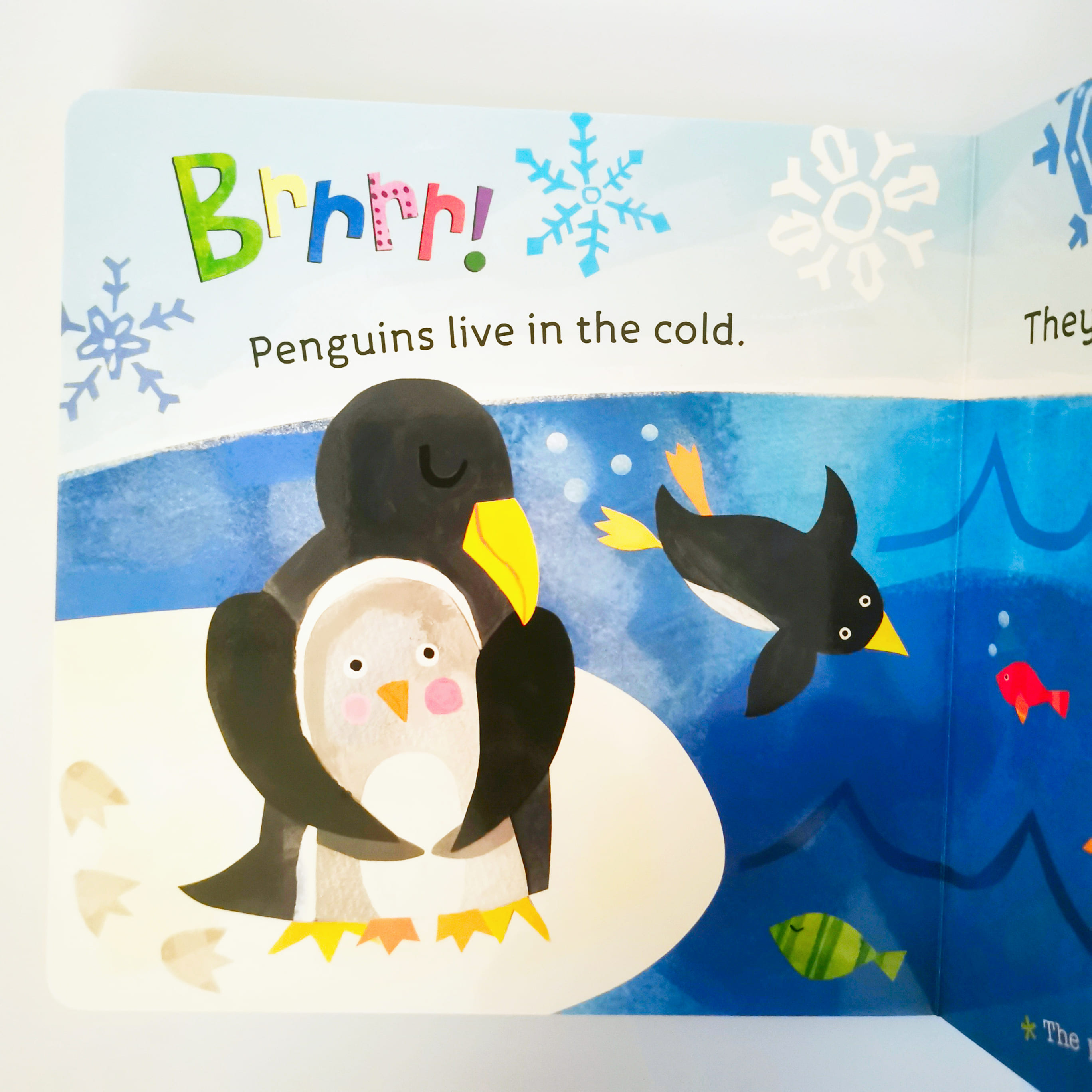 Birds (Hello, World!)