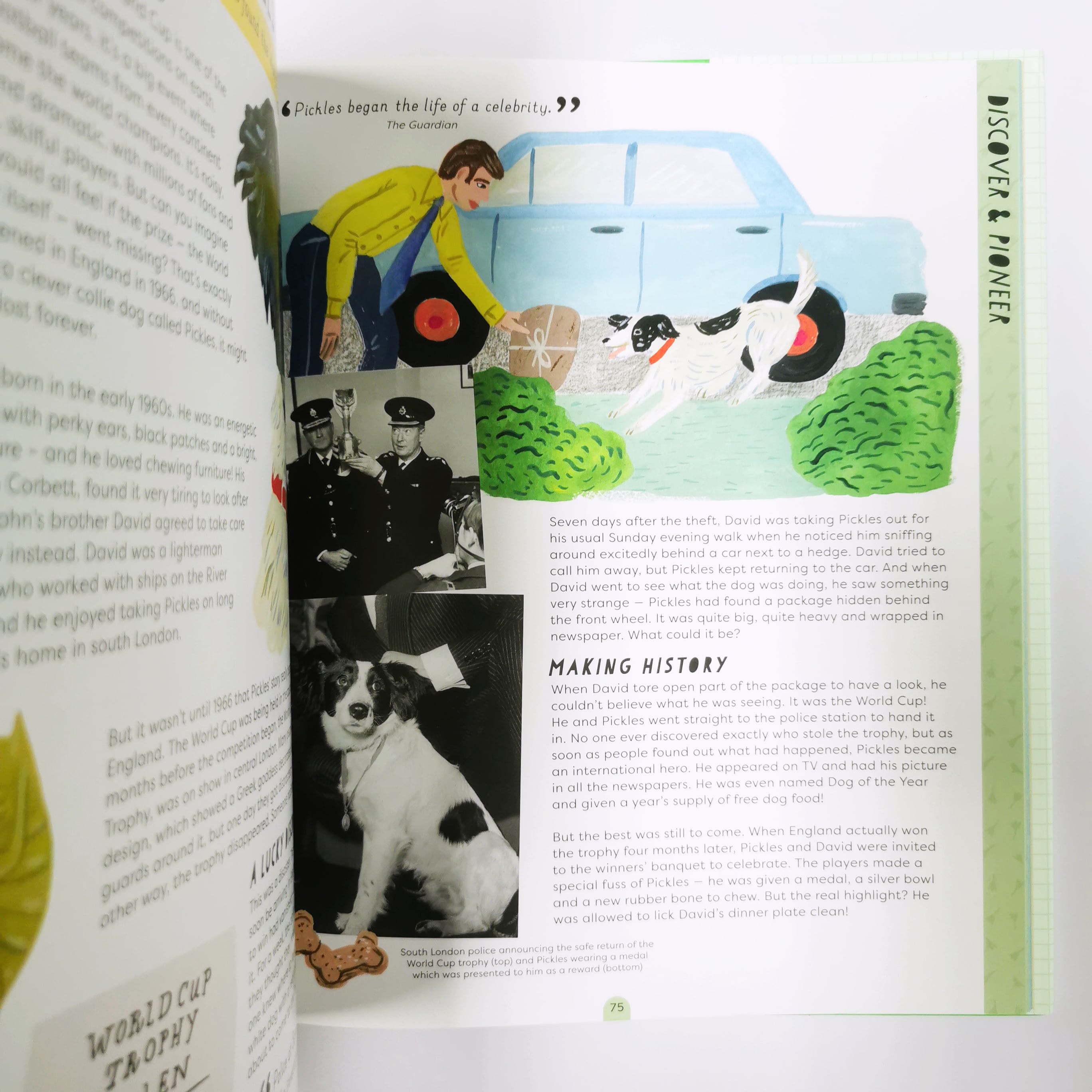 Wild lives (Stories That Shook Up the World)