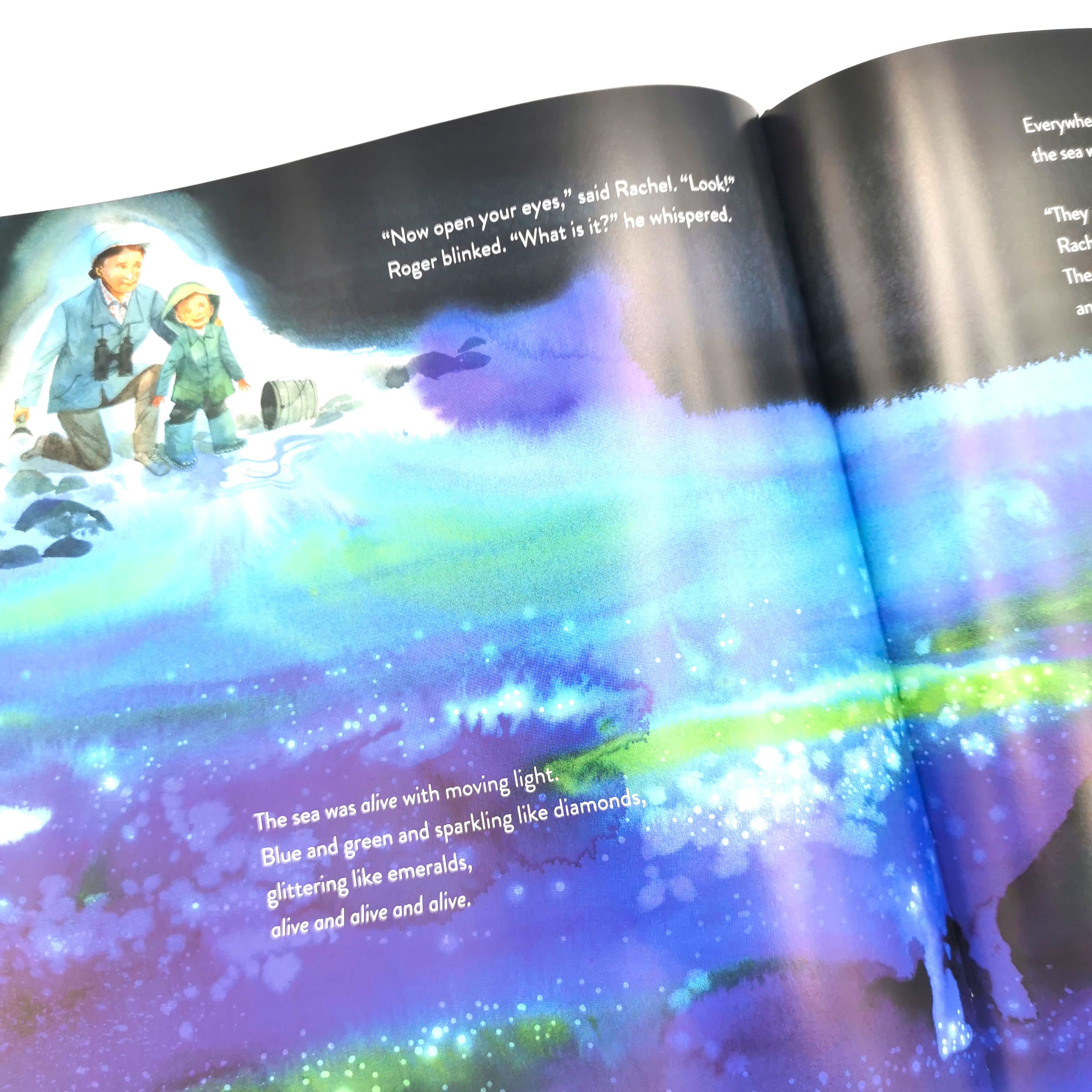 Night Walk to the Sea