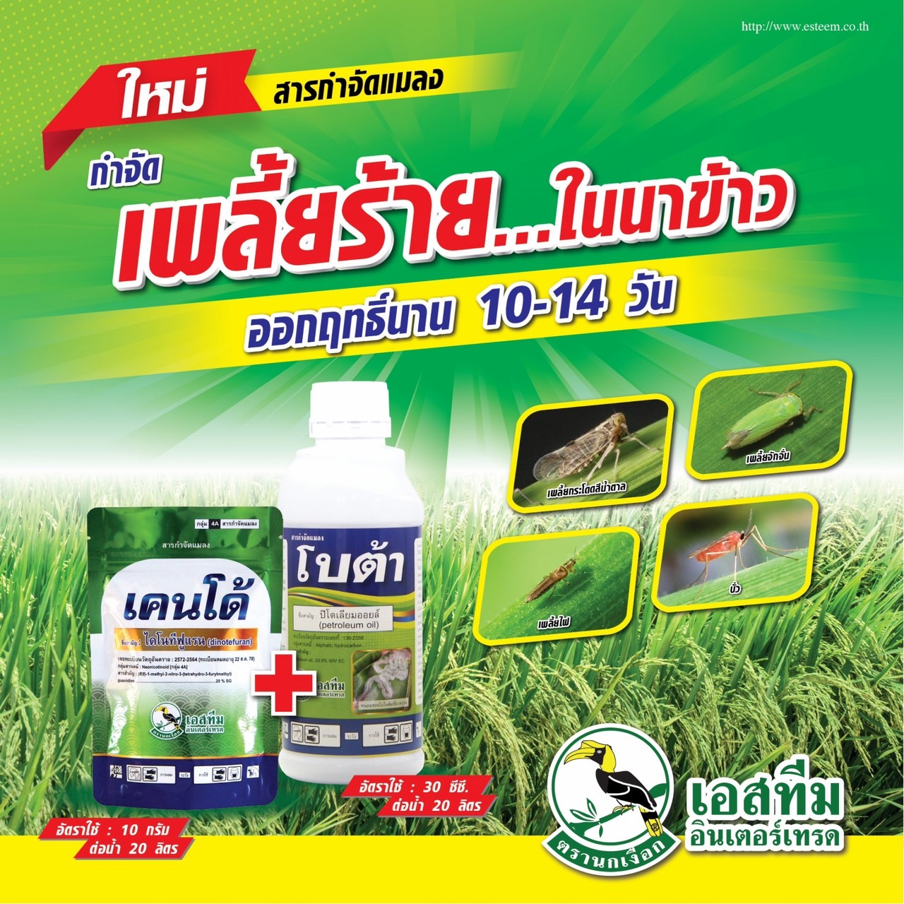 เคนโด้ :ไดโนทีฟูแรน 20% SG 100กรัม + โบต้า 1 ลิตร. กำจัดเพลี้ยในนาข้าว ออกฤทธิ์นาน 14 วัน