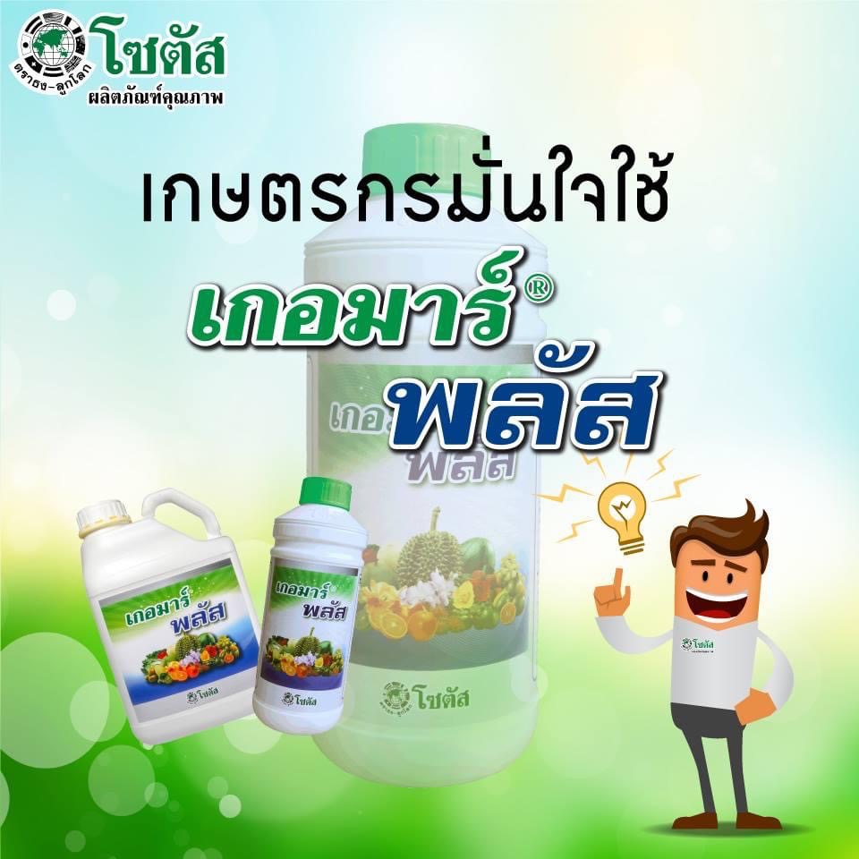 (ยกลังx12ขวด) เกอมาร์พลัส ส่งเสริมการออกดอกติดผล ฟื้นสภาพต้นหลังเก็บเกี่ยว เกอมาร์ พลัส (Goemar Plus) ขนาด1ลิตร