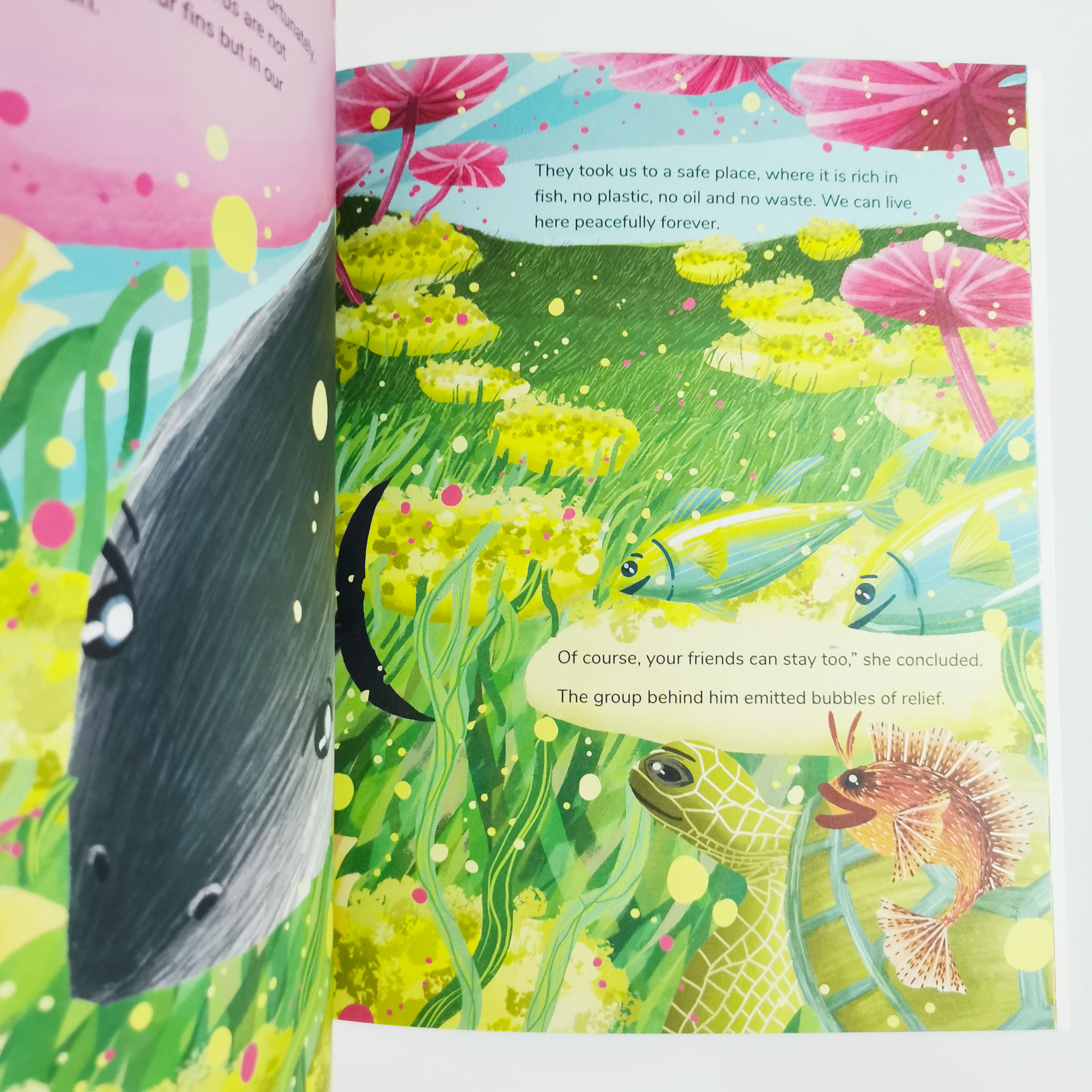 Little White : The Ocean’s Baby Shark