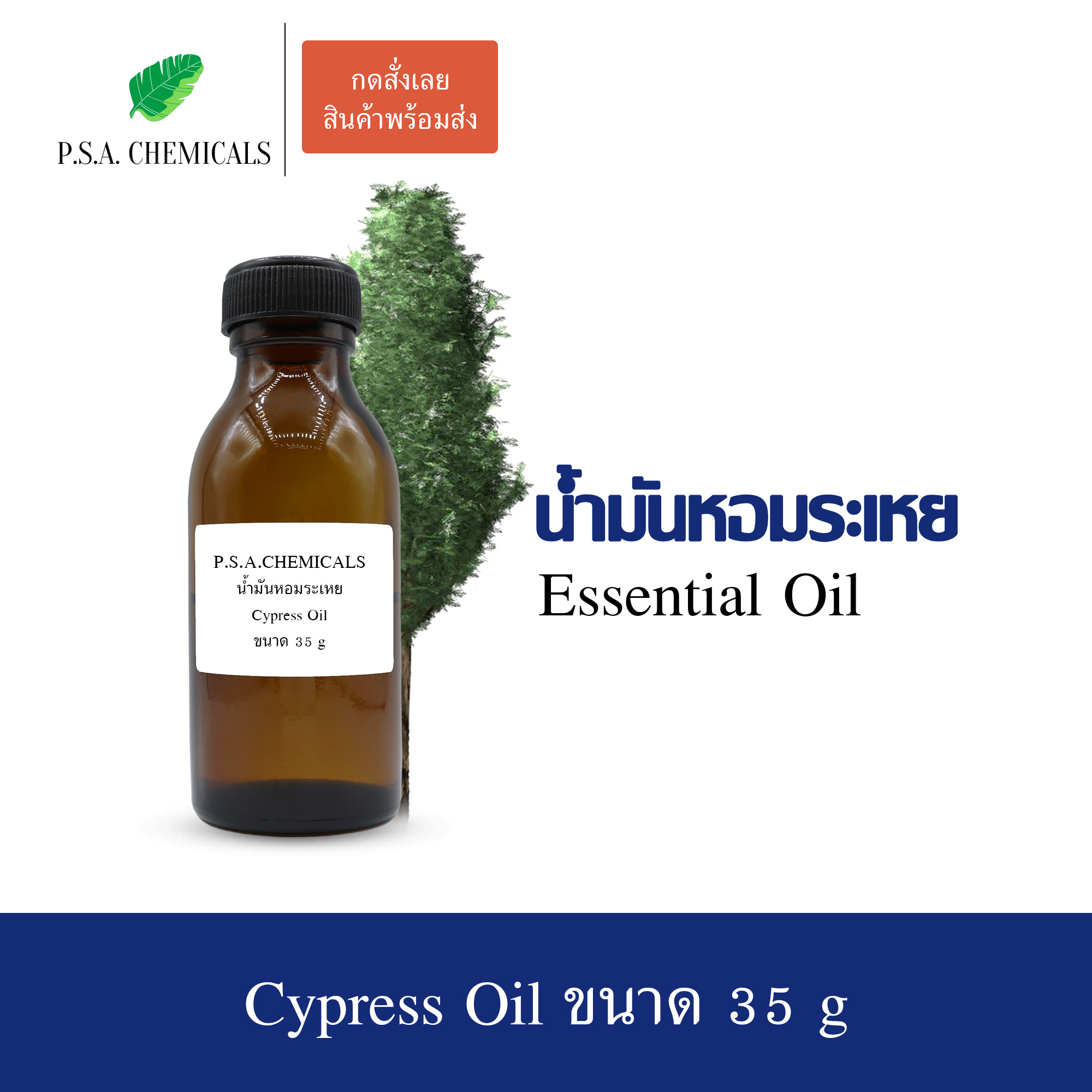 น้ำมันหอมระเหยสนไซเพรส (Cypress Essential Oil) ขนาด 35 g ใช้กับเครื่องพ่นอโรม่า เตาอโรม่า