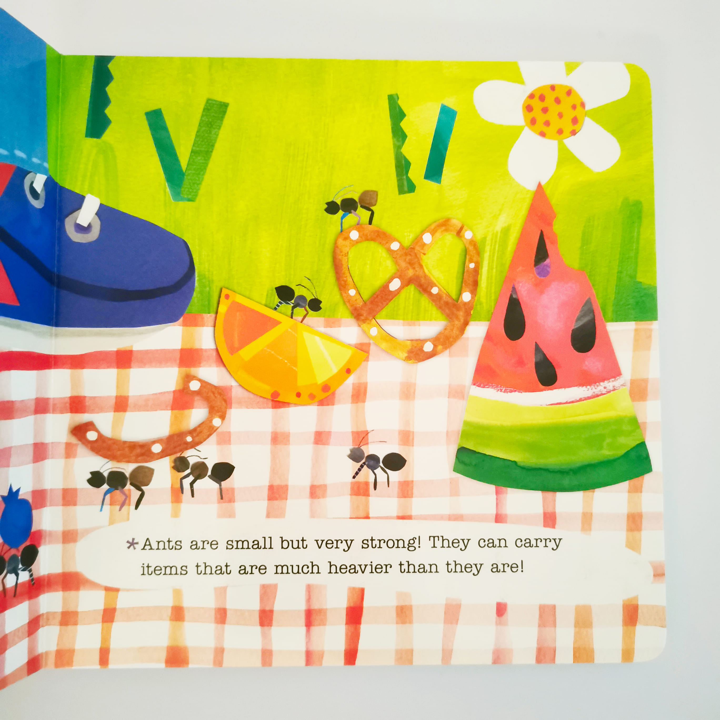 Backyard Bugs (Hello, World!)