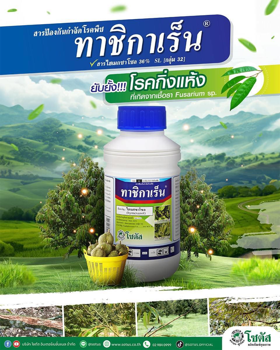 ทาชิกาเร็น (Tachigaren):ไฮเมกซาโซล (hymexazol)36% W/V SL: 500 ซีซีกำจัดโรคโคนเน่าได้เด็ดขาด ช่วยส่งเสริมการเจริญเติบโต