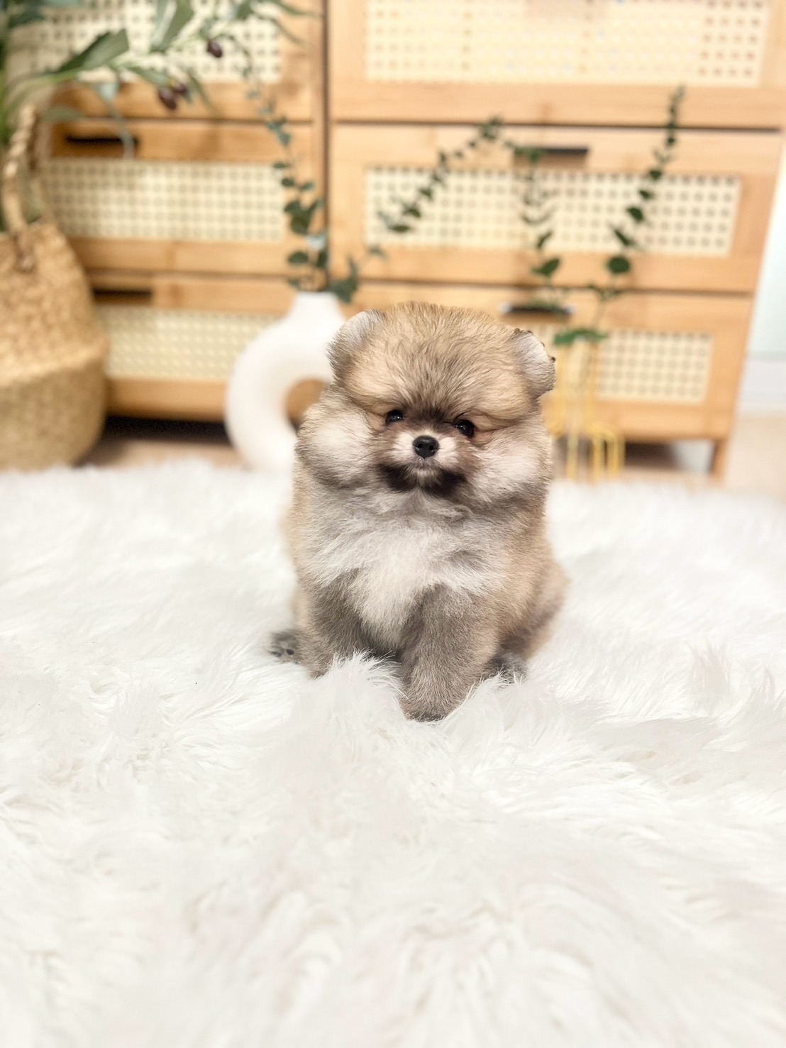 น้องปอม เพศญ สีส้ม