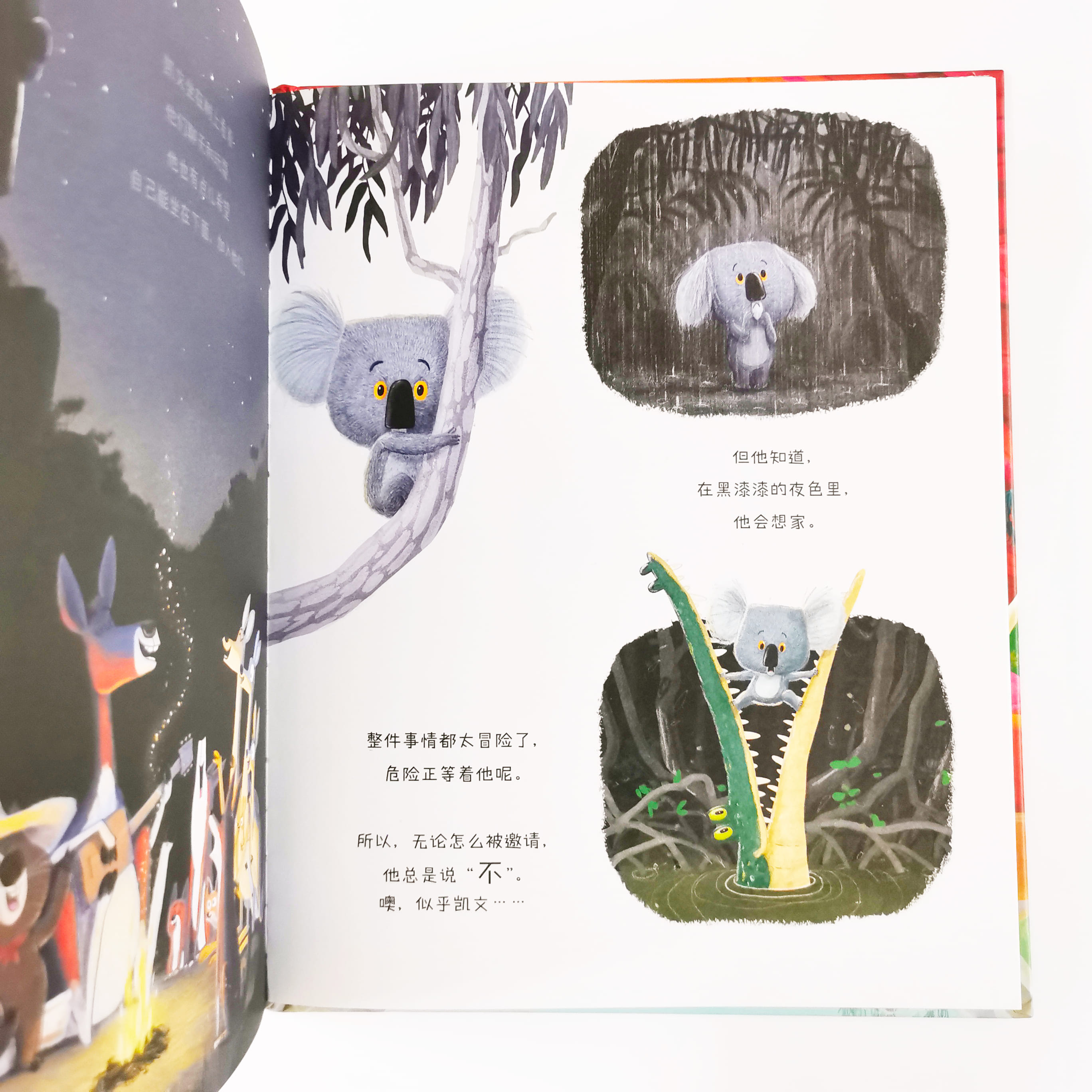 考拉做得到 The Koala Who Could