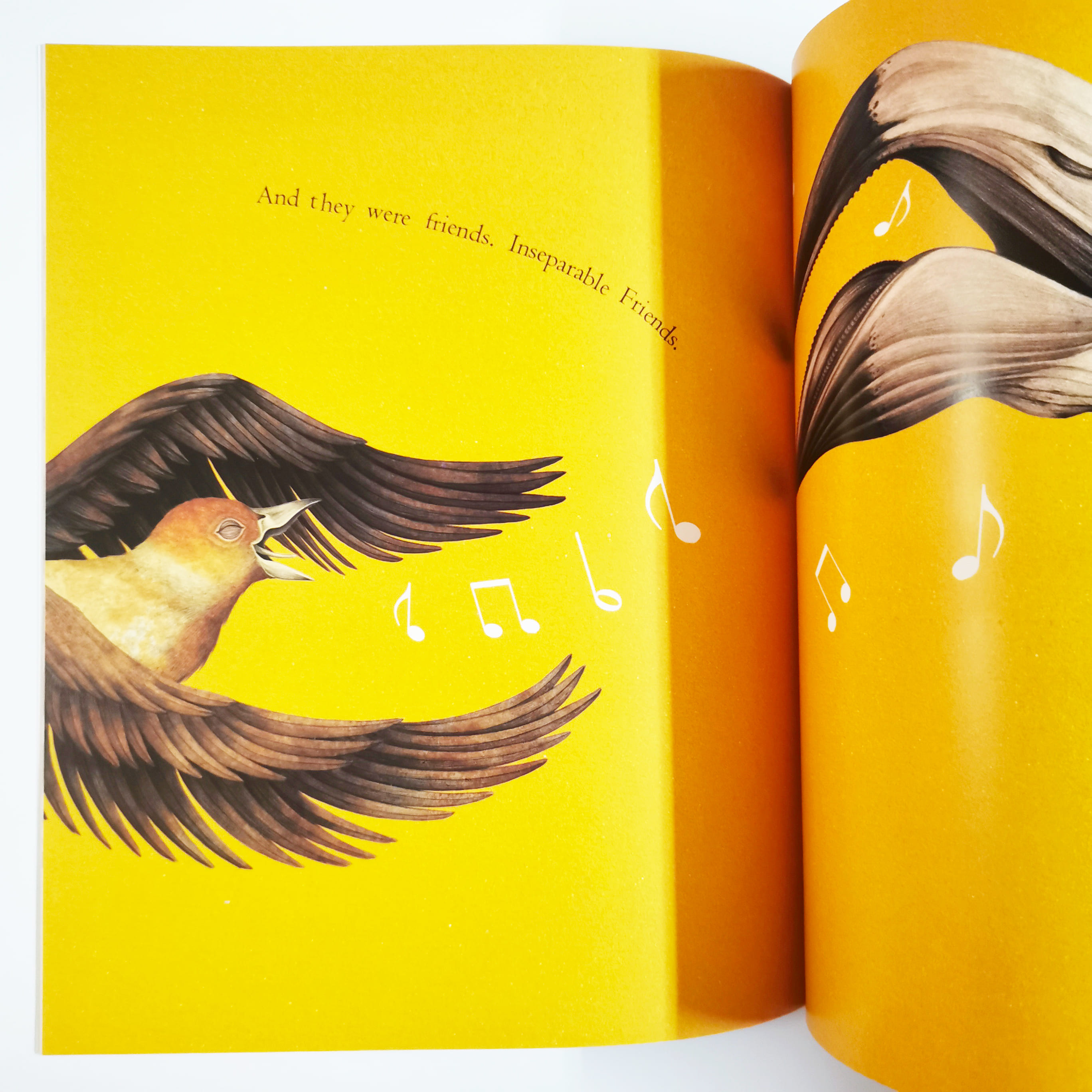 Otto And Jade On The Wings Of Friendship