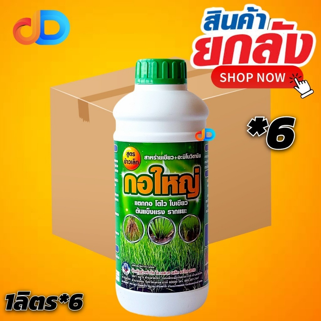 (ยกลัง*6 ขวด) กอใหญ่ ขนาด 1 ลิตร #สูตรข้าวเล็ก สาหร่ายเขียว+ อะมิโนวิตามิน แตกกอ โตไว ใบเขียว ต้นแข็งแรง รากเยอะ