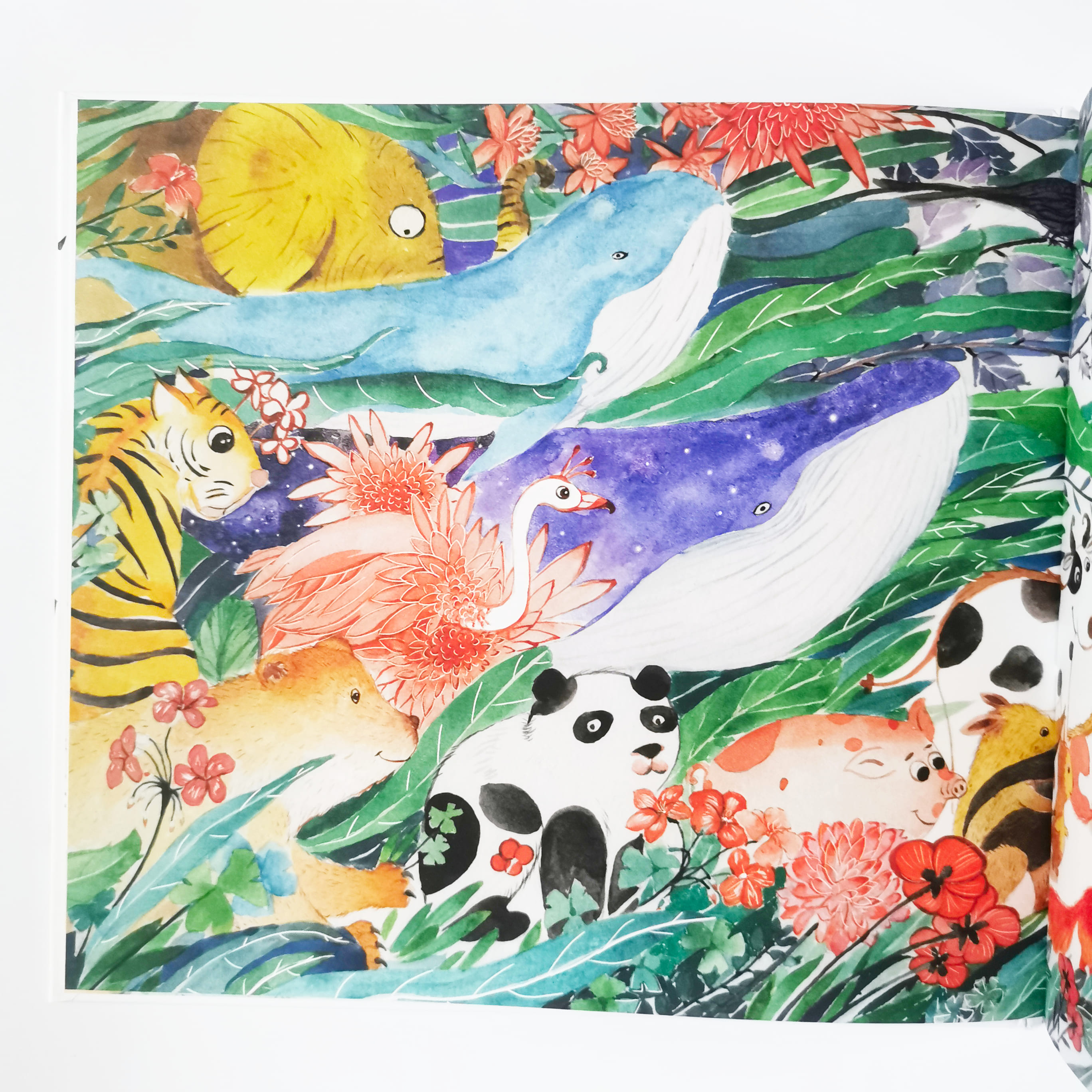 奇怪的白色小鳄鱼 Strange little white crocodile