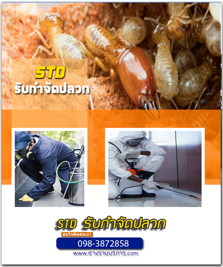 รับกำจัดปลวกมุกดาหาร