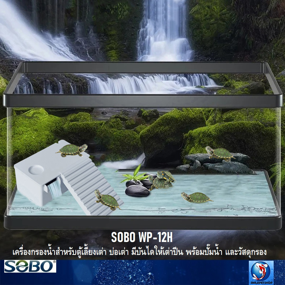 SOBO WP-12H(เครื่องกรองน้ำสำหรับตู้เลี้ยงเต่า บ่อเลี้ยงเต่า มีบันไดให้เต่าปีนเล่น พร้อมปั๊มน้ำ และวัสดุกรอง)