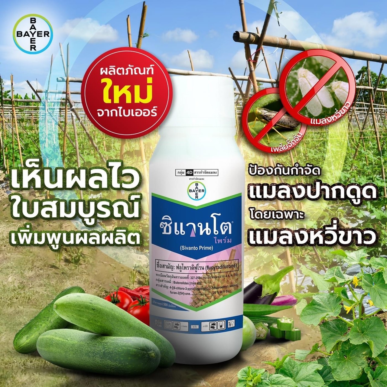 ซิแวนโต ไพร์ม ขนาด 500 ซีซี ออกฤทธิ์ไว กับแมลงปากดูด และแมลงหวี่ขาว