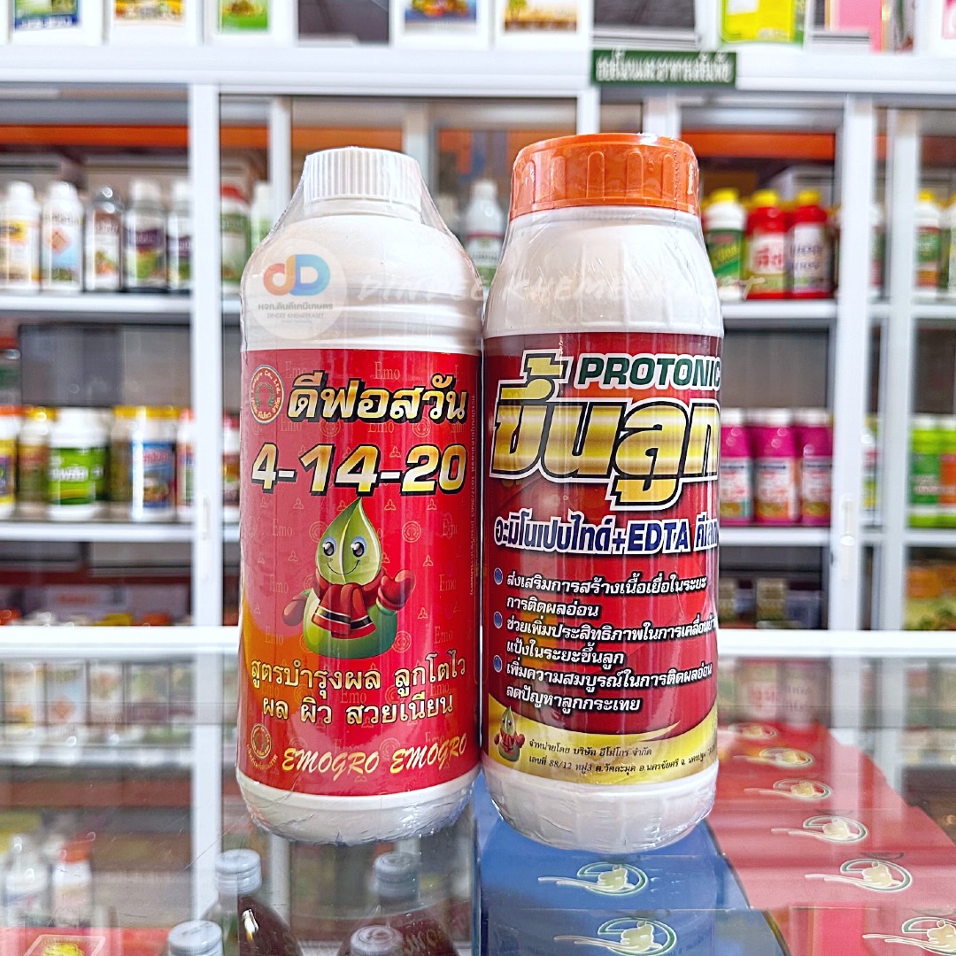 (ชุด 2 ขวด) ปุ๋ยน้ำ 4-14-20สูตรบำรุงผล ลูกโตไว+โปรโตรนิก (Protonic)-ขึ้นลูกอะมิโนเปบไทด์+EDTA คีเลท ขนาด 1 ลิต