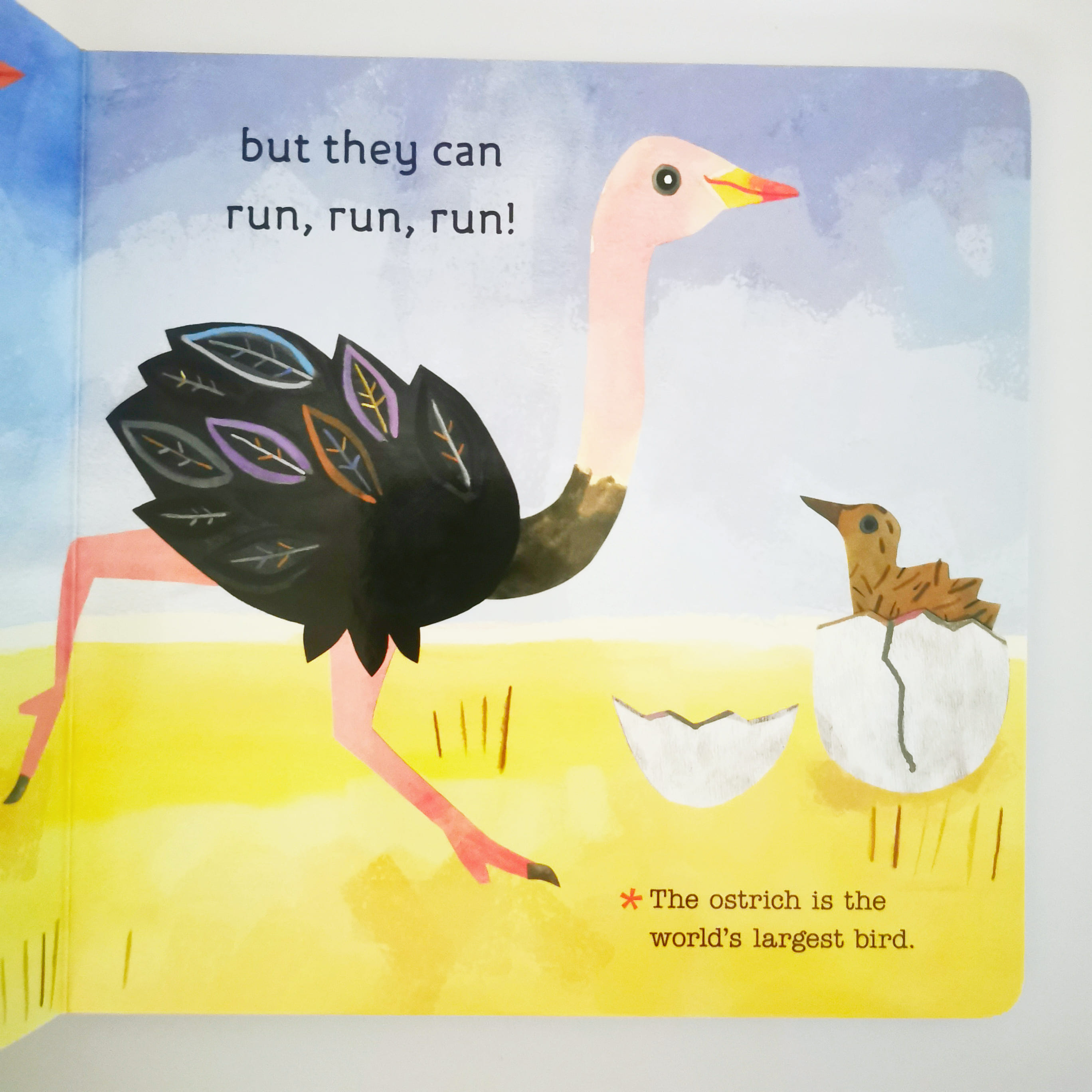 Birds (Hello, World!)