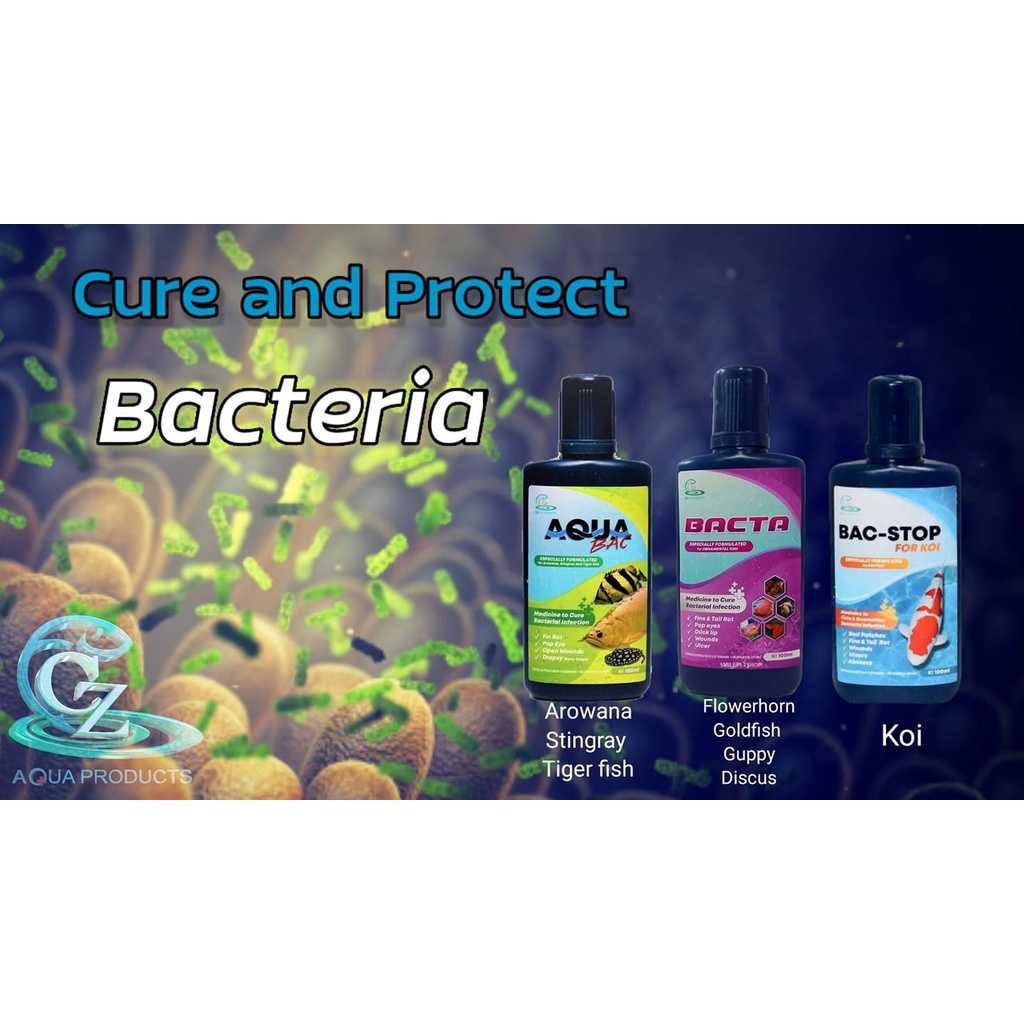BACTA 100 ml.(รักษาโรคจากการติดเชื้อแบคทีเรีย ปากบวม ตาโปน ครีบกร่อน ป้องกันโรค กักโรคปลา)