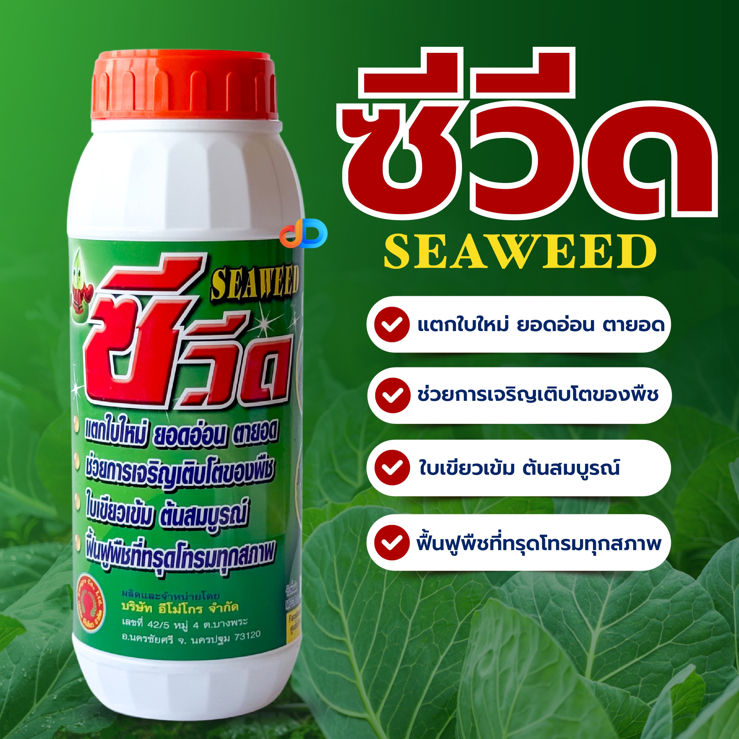 ซีวีด (SEAWEED) #สาหร่ายสกัดชนิดเข้มข้น ใบเขียว แตกใบใหม่ ขนาด 1 ลิตร