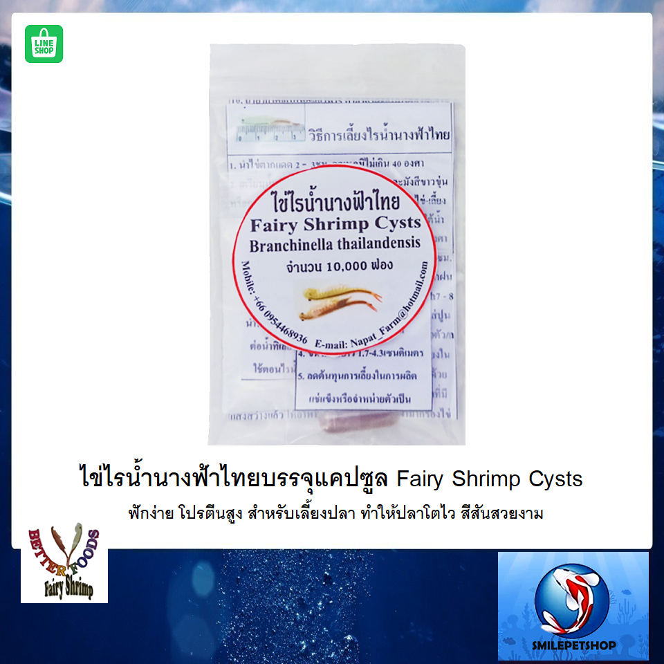 ไข่ไรน้ำนางฟ้าไทยบรรจุแคปซูล (Fairy Shrimp Cysts ฟักง่าย โปรตีนสูง ทำให้ปลาโตไว สีสันสวยงาม)