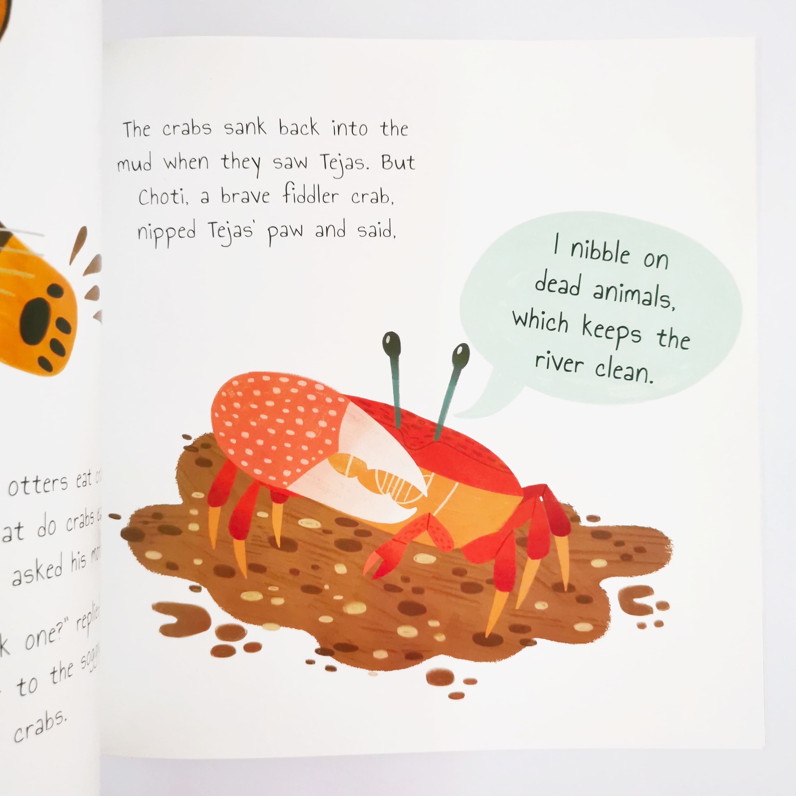 The Curious Tiger (Rainforest Tales)