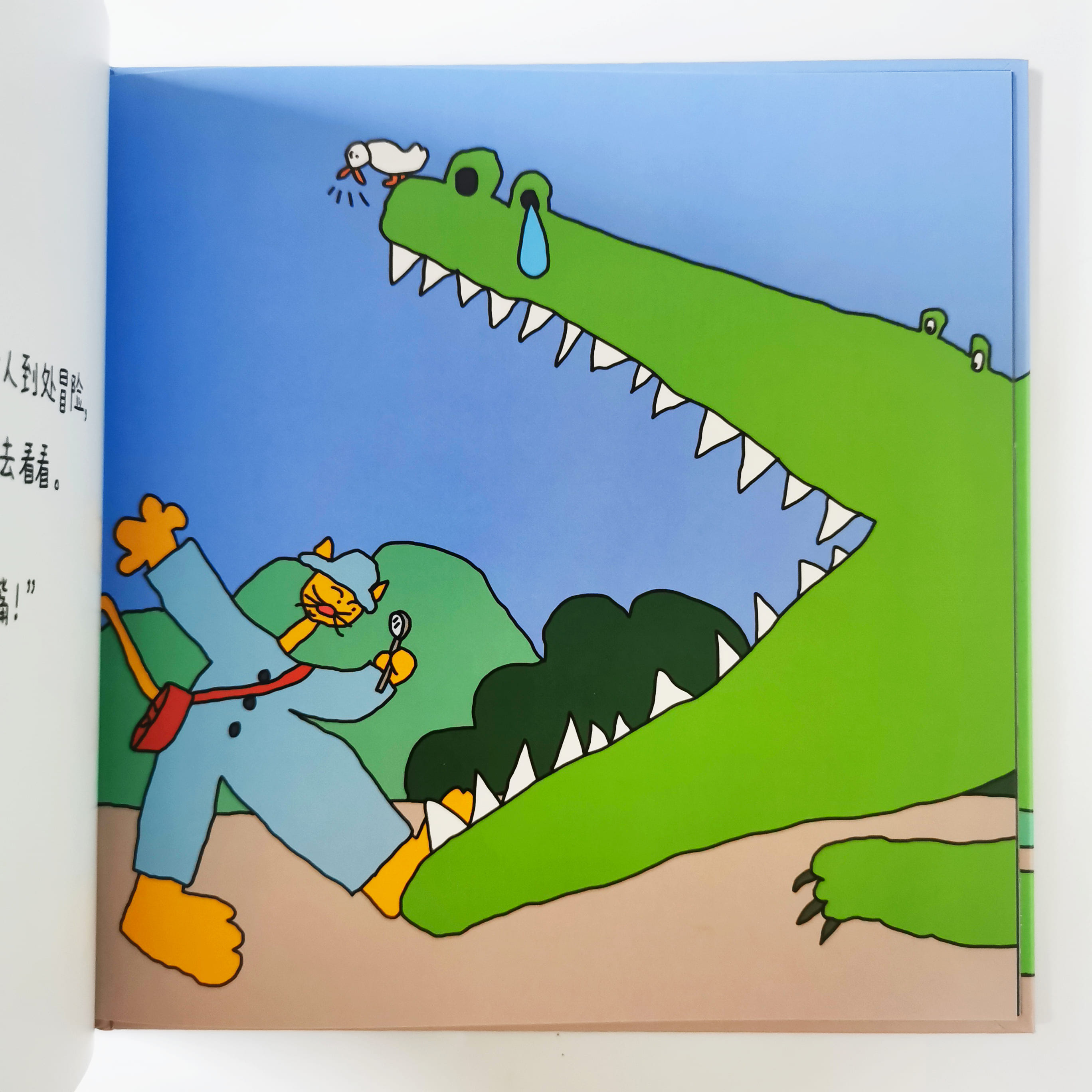 探险家 The Explorer