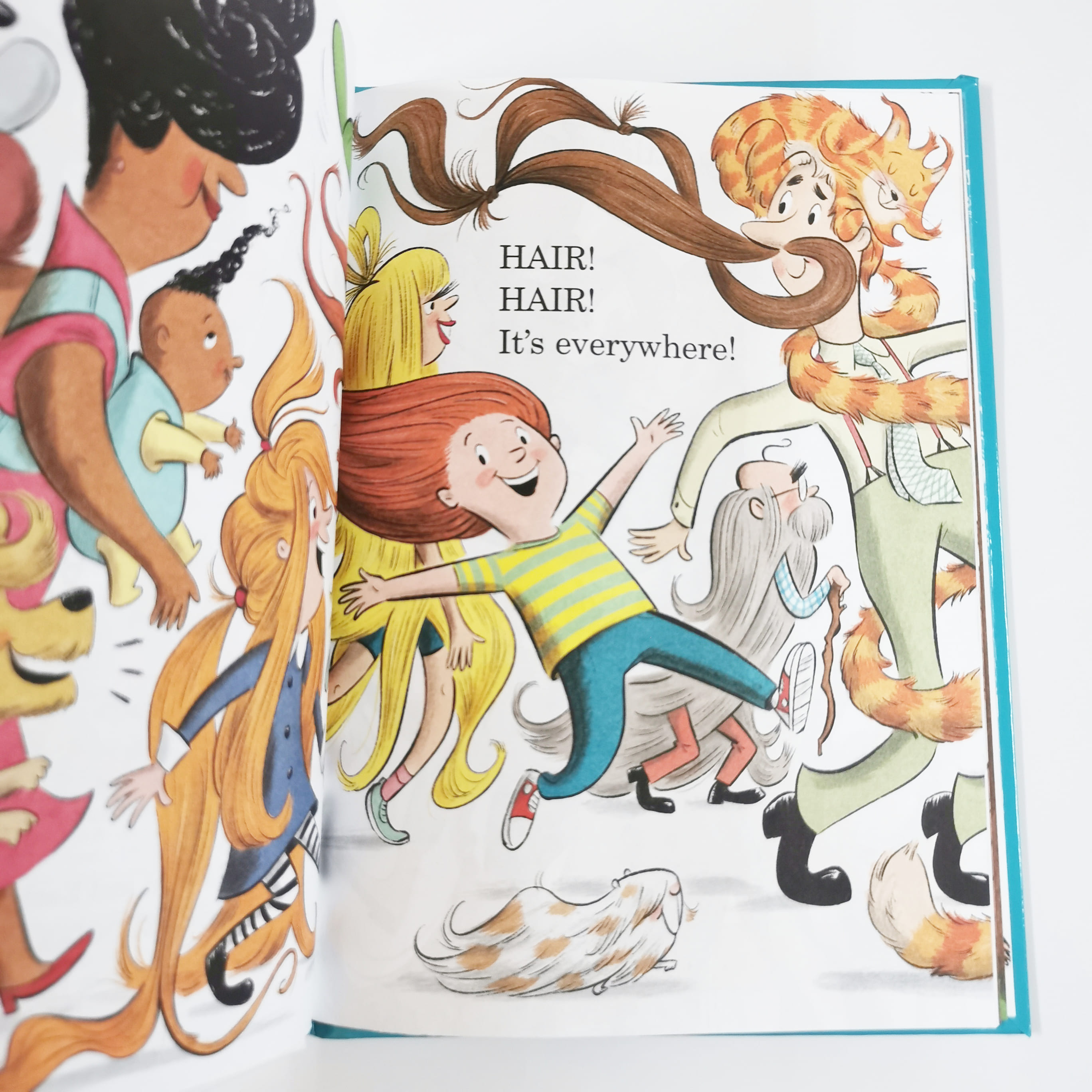The Hair Book