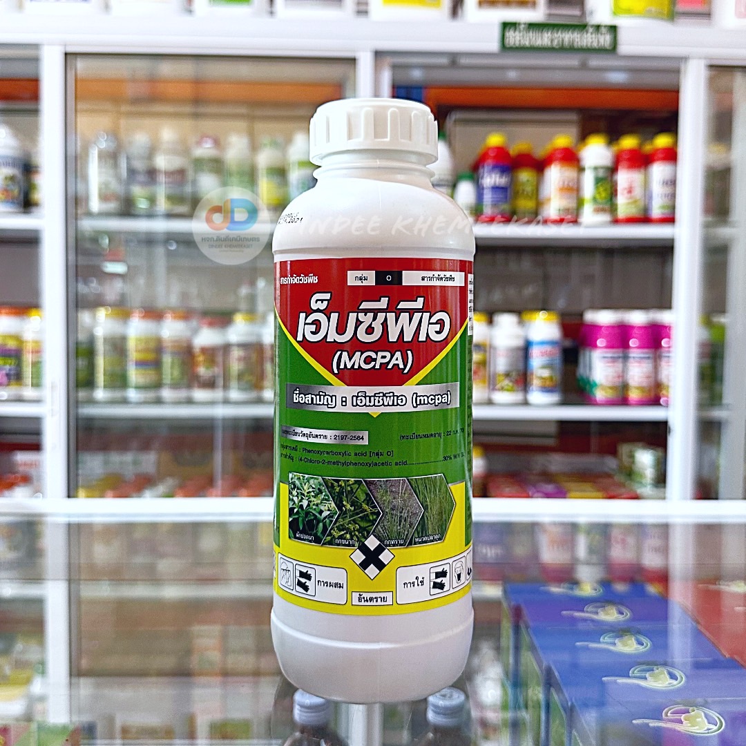 เอ็มซีพีเอ (MCPA 30% W/V SL) ขนาด 1 ลิตร สารกำจัดวัชพืชใบกว้าง ในนาข้าว และพืชไร่ ปลอดภัยต่อพืชประธาน กลิ่นไม่เหม็น ใช้ง่าย